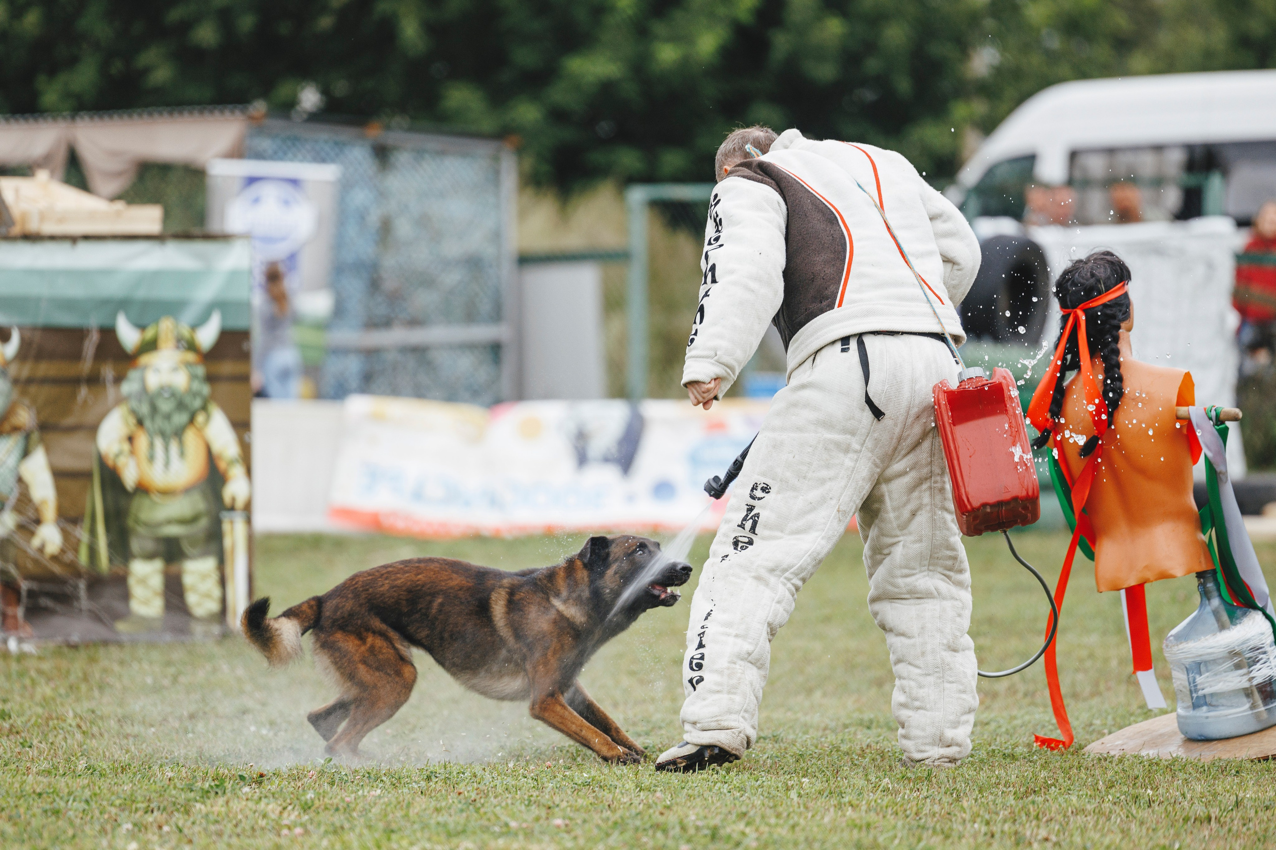 08.08.25-10.08.25 ЧР по мондьорингу г. Вологда. Фотограф-анималист Анна Маринич