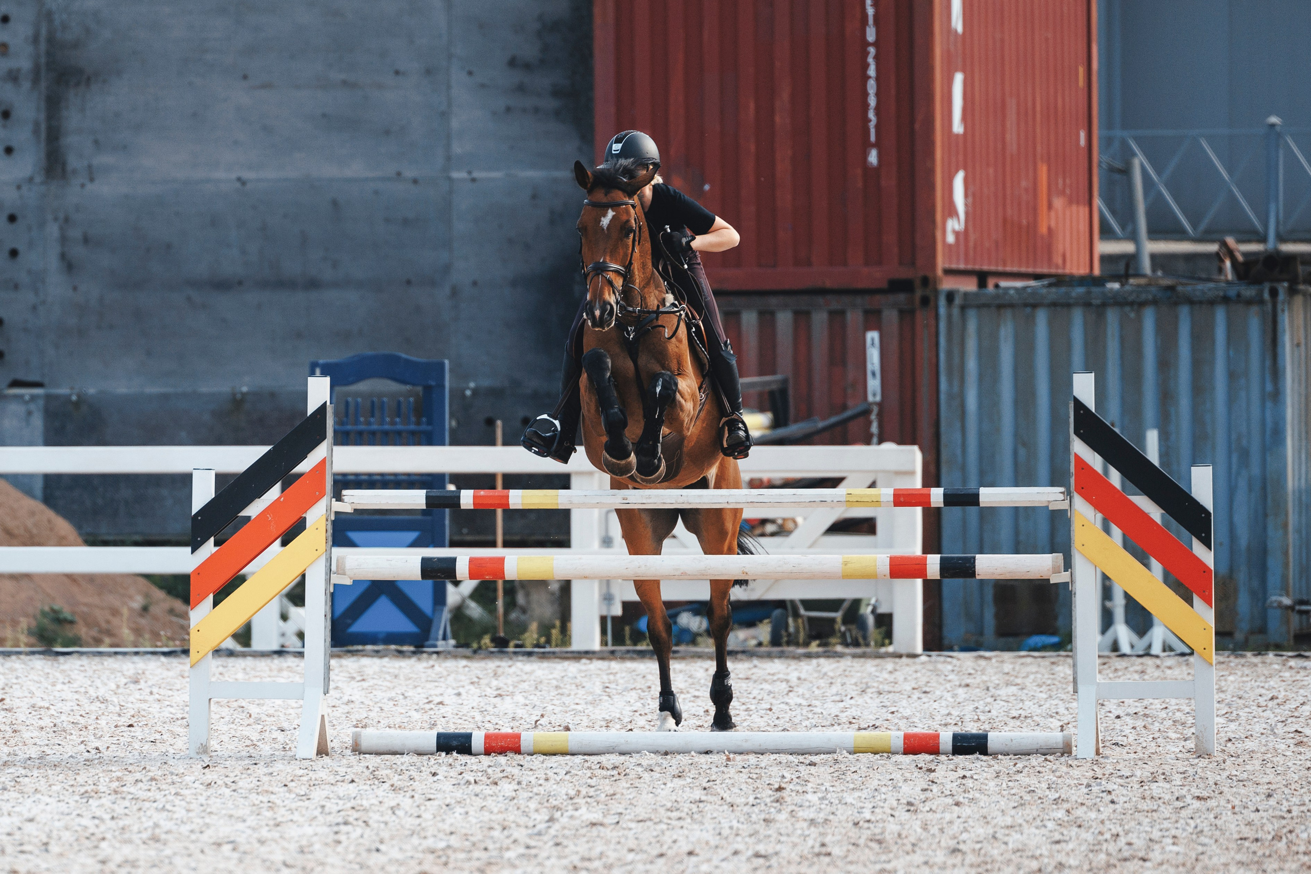 Конкур. Фотограф-анималист Анна Маринич