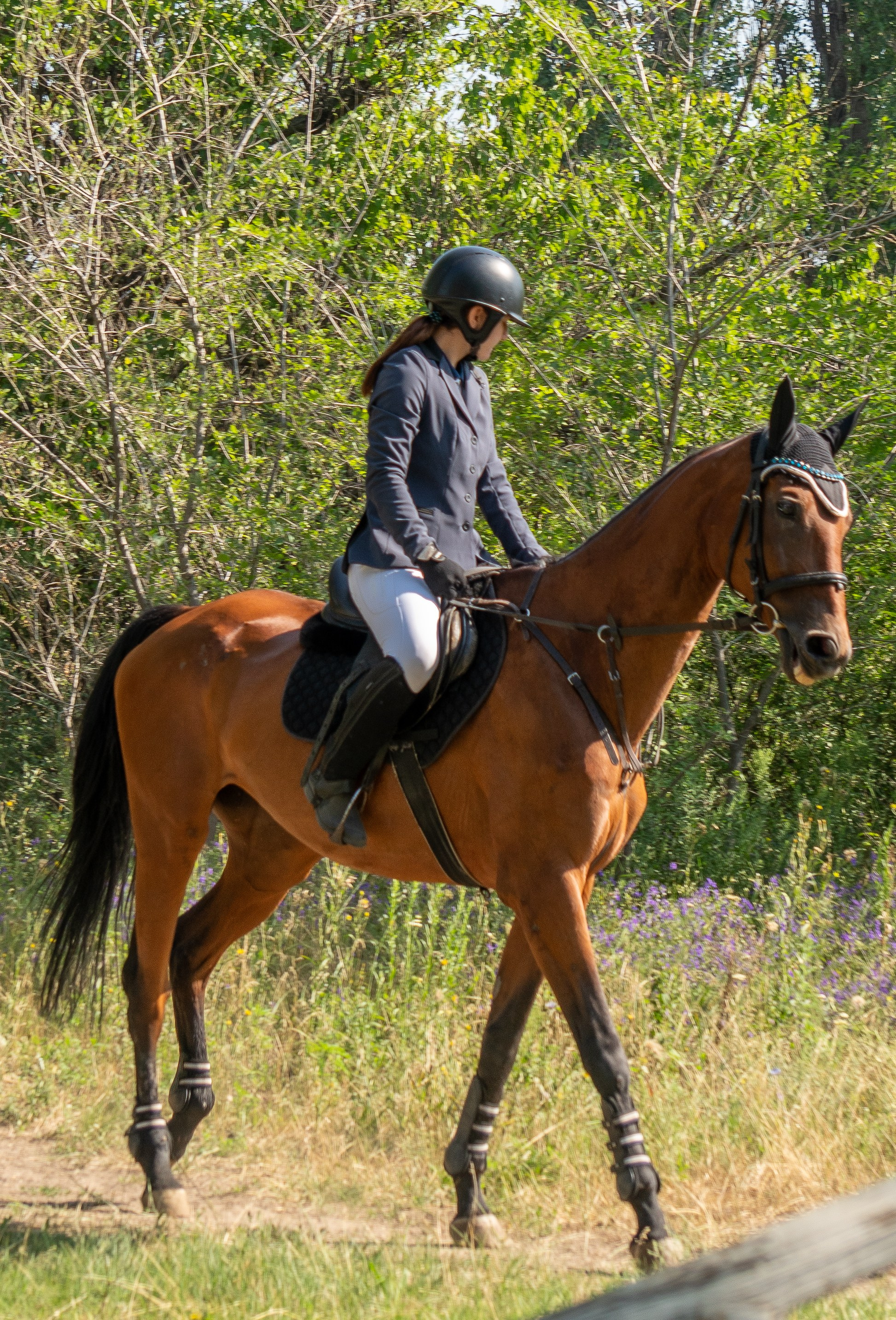 Жокей на лошади на иподроме Луганска, соревнование по конкуру Луганск, конный спорт, форма жокея, культурная жизнь Луганска, спортивное мероприятие, живописные окресности