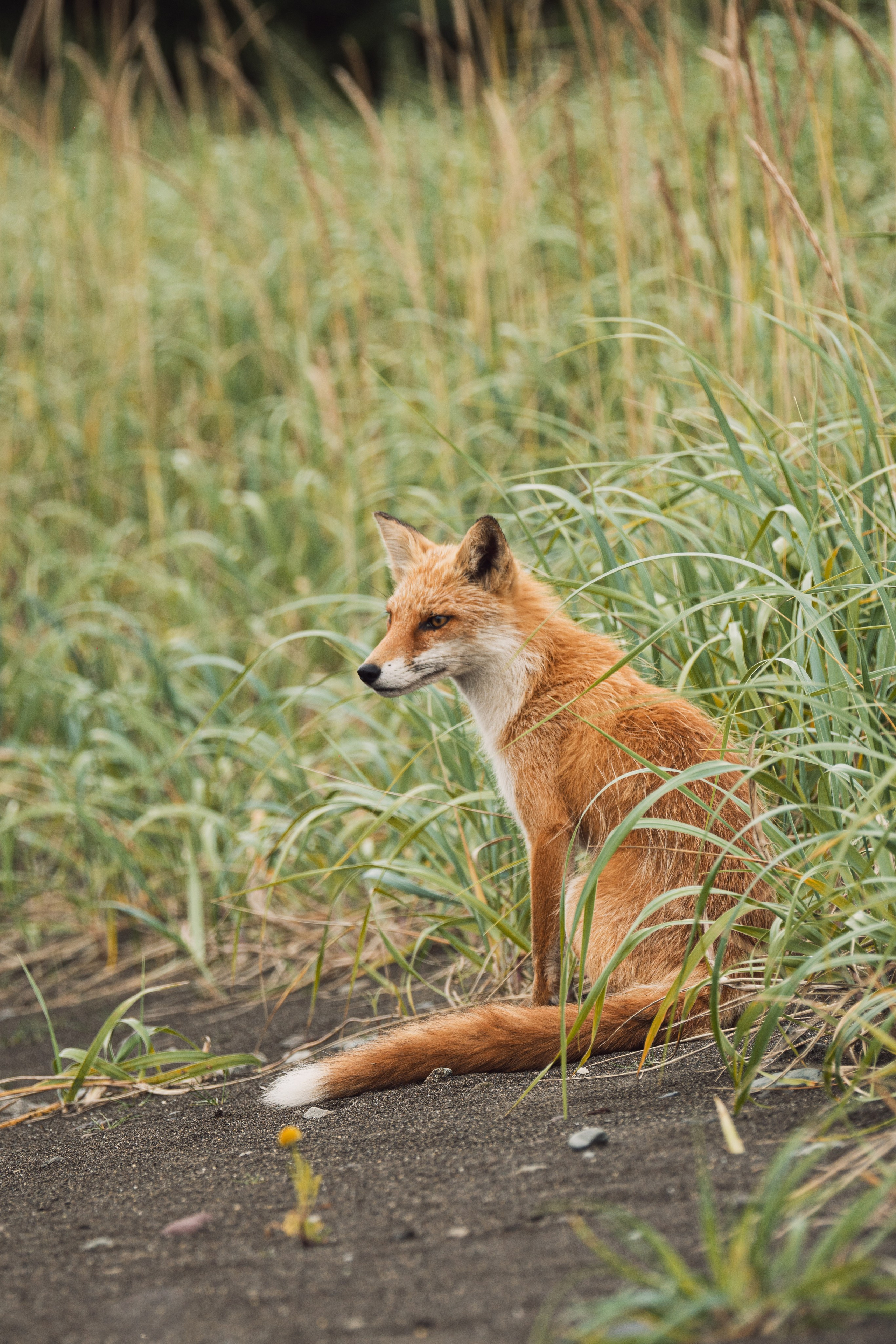 Курильские острова. Gusarov Travel Photography