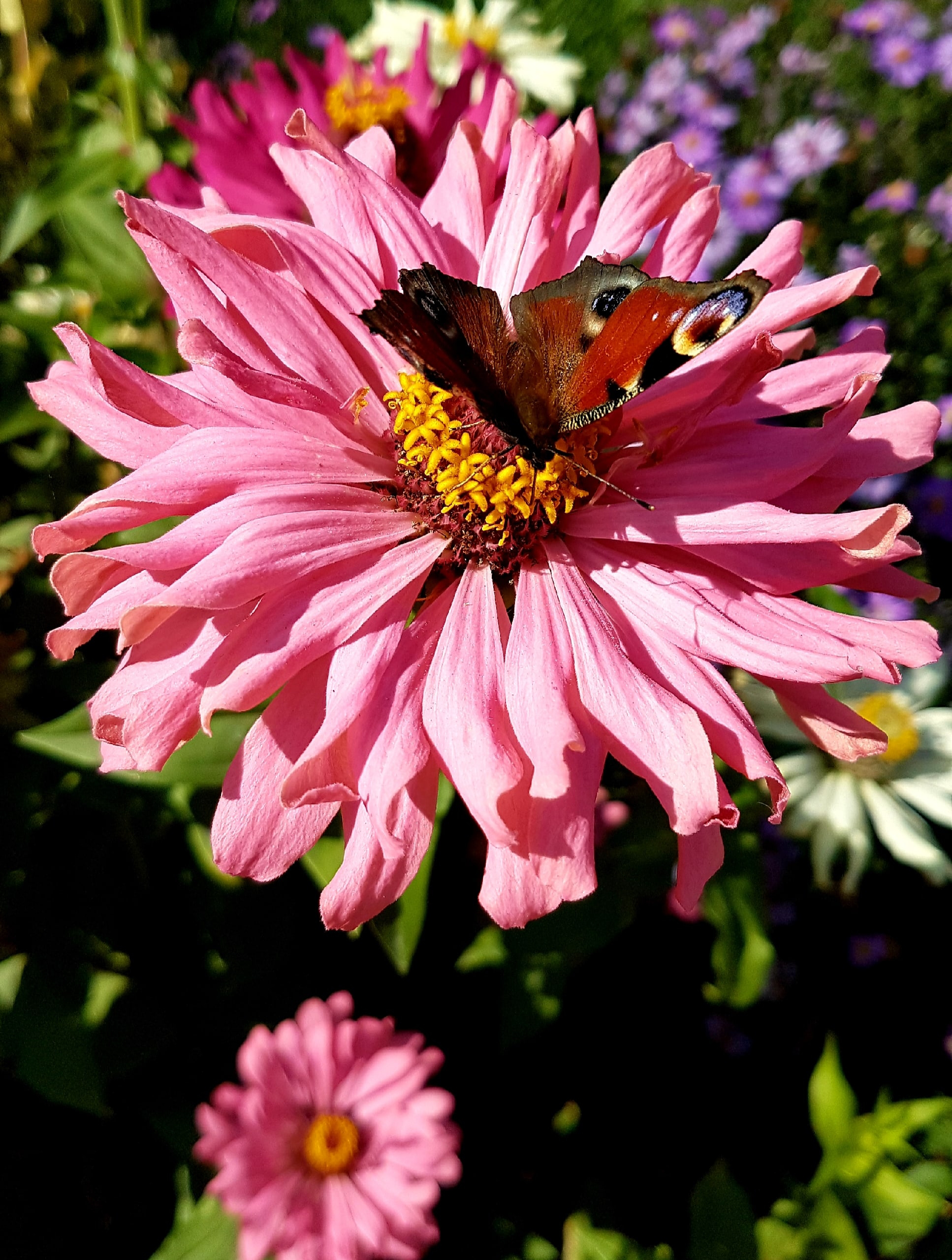 Природное окружение. Фотограф природных объектов