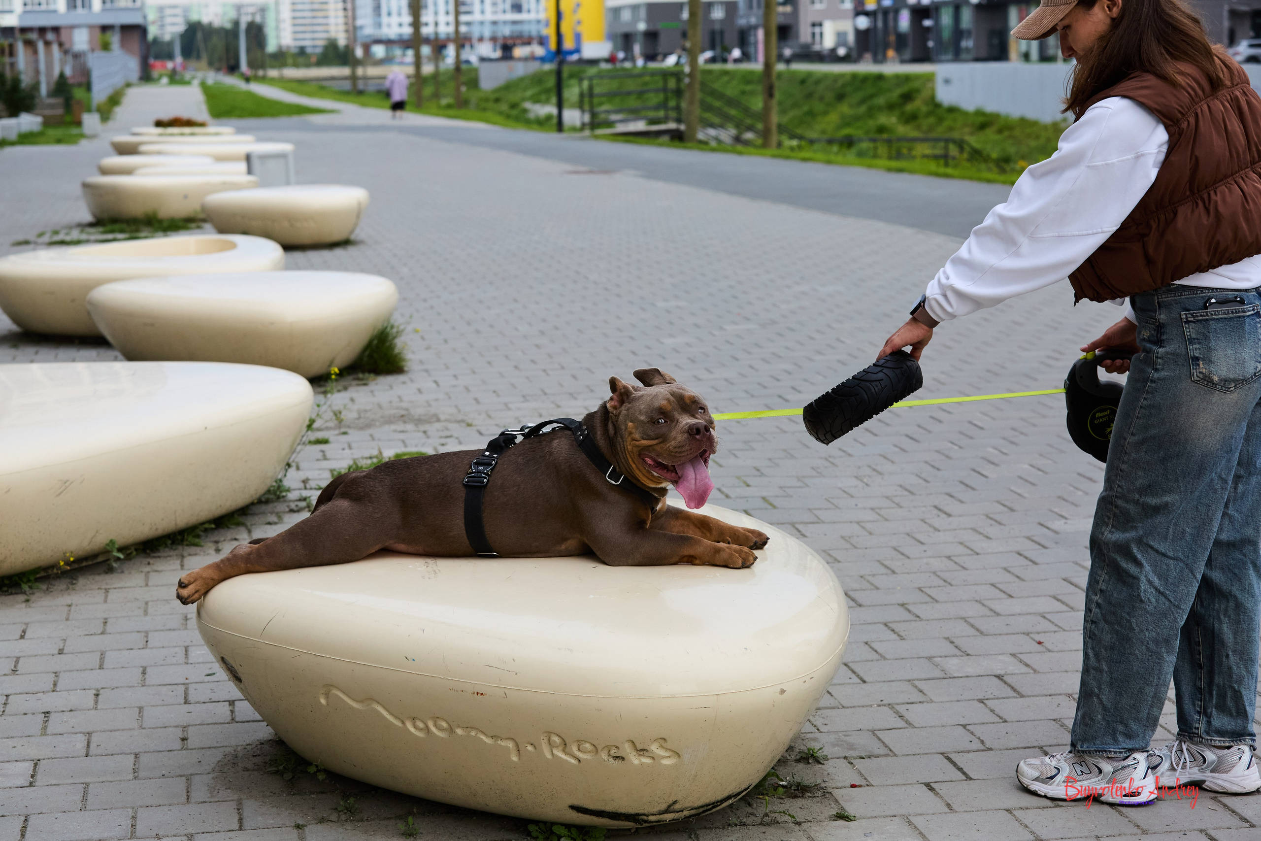 Проект фотопрогулка с хвостиком. Buyvolenko Andrey