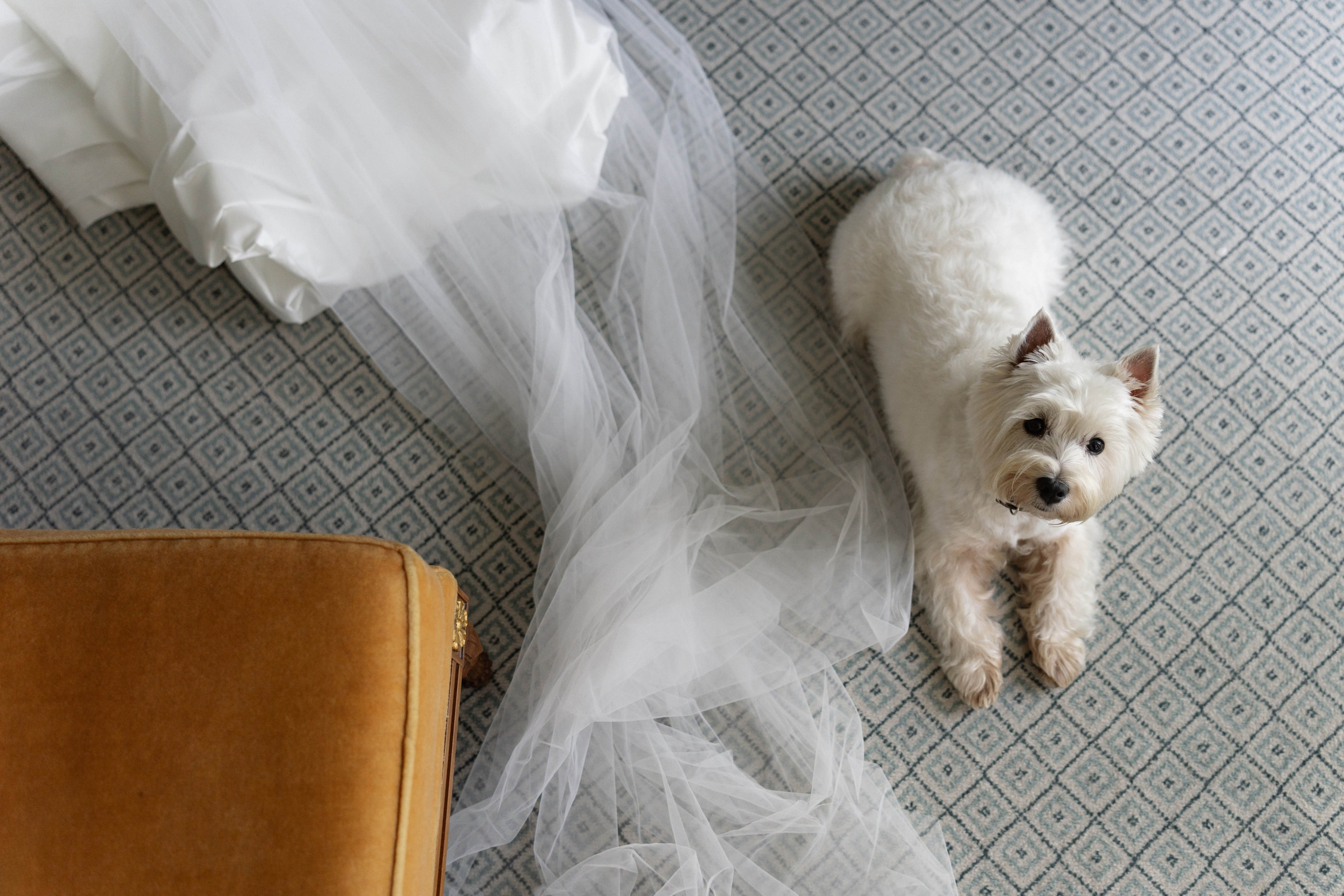 Четыре сезона. Фотограф в Санкт-Петербурге Александр Дымов