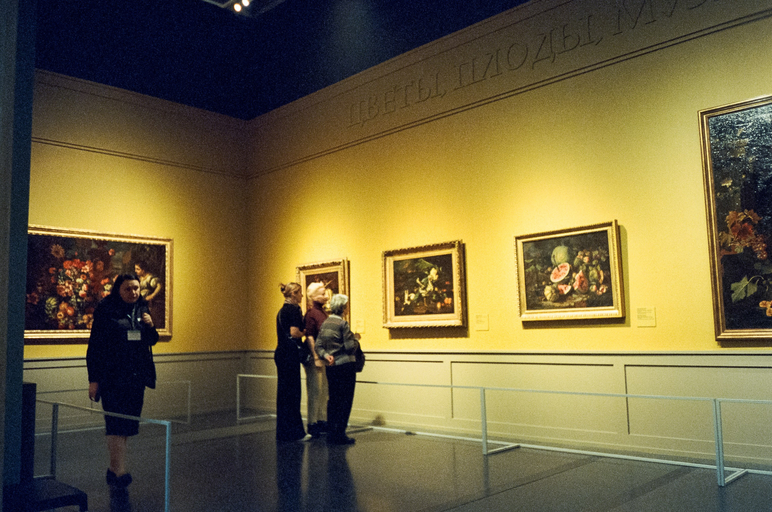 Цветы, плоды, музыкальные инструменты в Пушкинском музее. Фотограф-документалист Мария Осокина