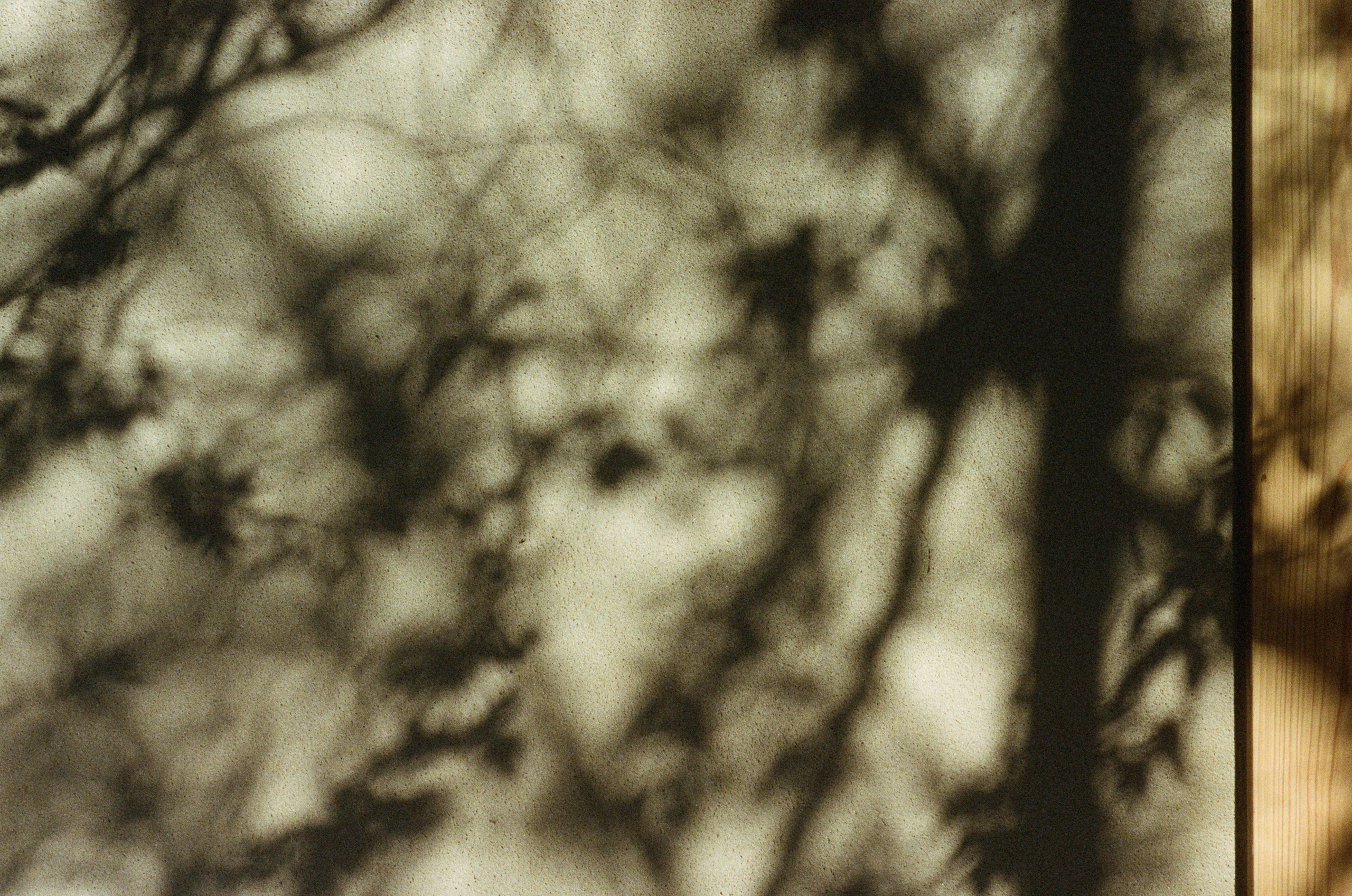 Sakura blues // ukraine, crimea VII. EVER EXPOSED