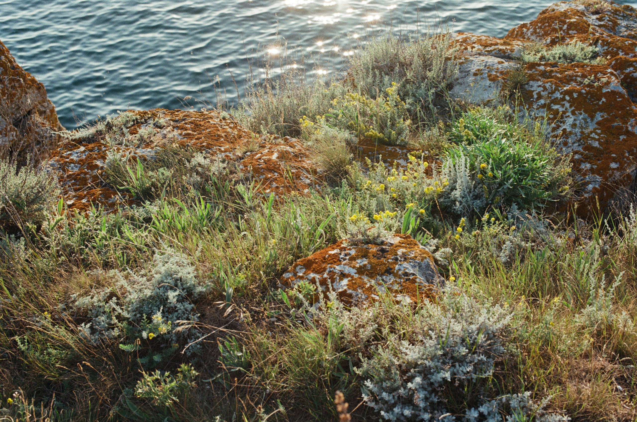 Silent running // ukraine, crimea III. EVER EXPOSED