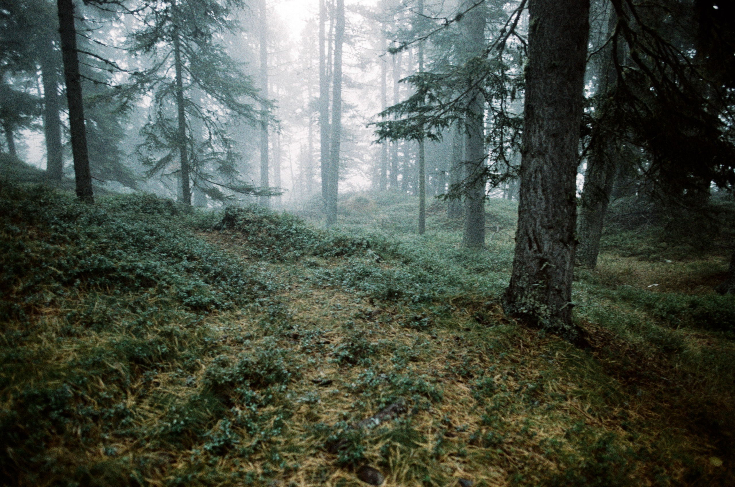Il dono della vita // italy, dolomites IV. EVER EXPOSED