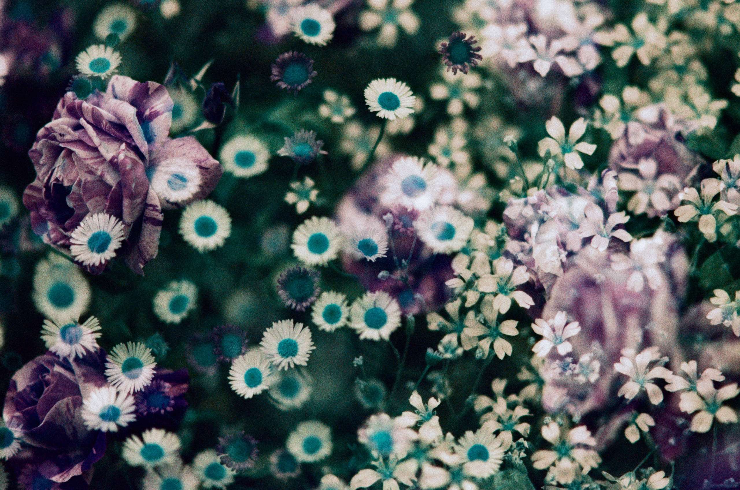 Pain shopping // ukraine, crimea VII. EVER EXPOSED