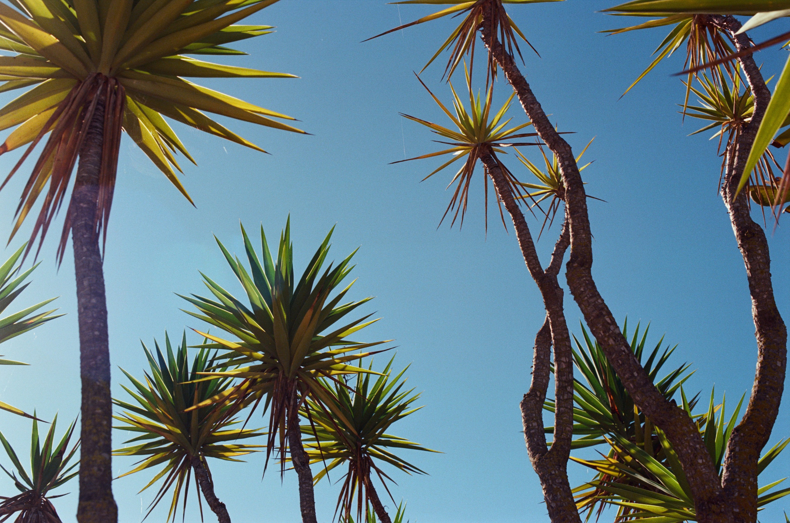 I think i'm ok // portugal, lagos. EVER EXPOSED