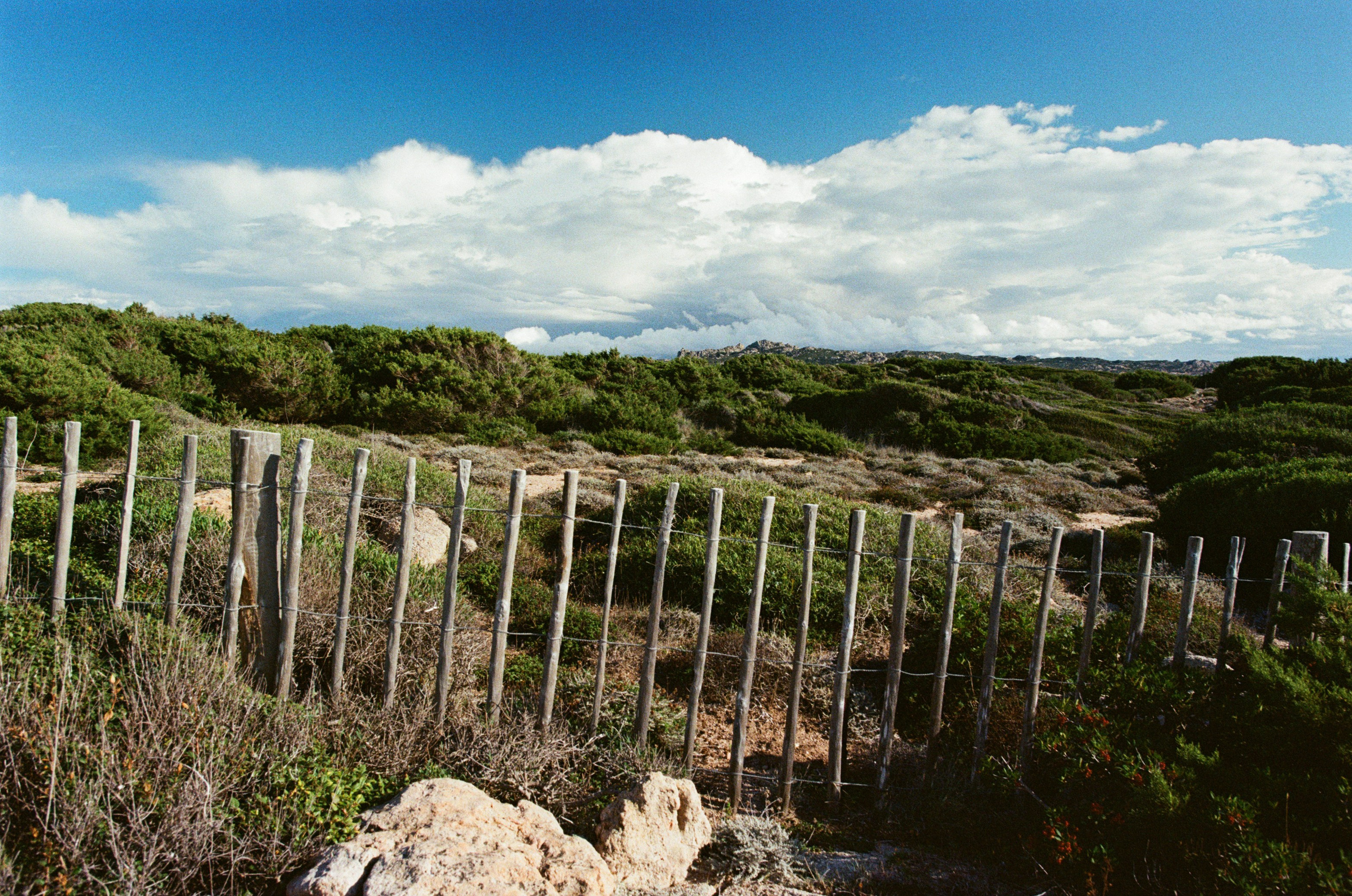 Silence is also an answer // corsica V. EVER EXPOSED