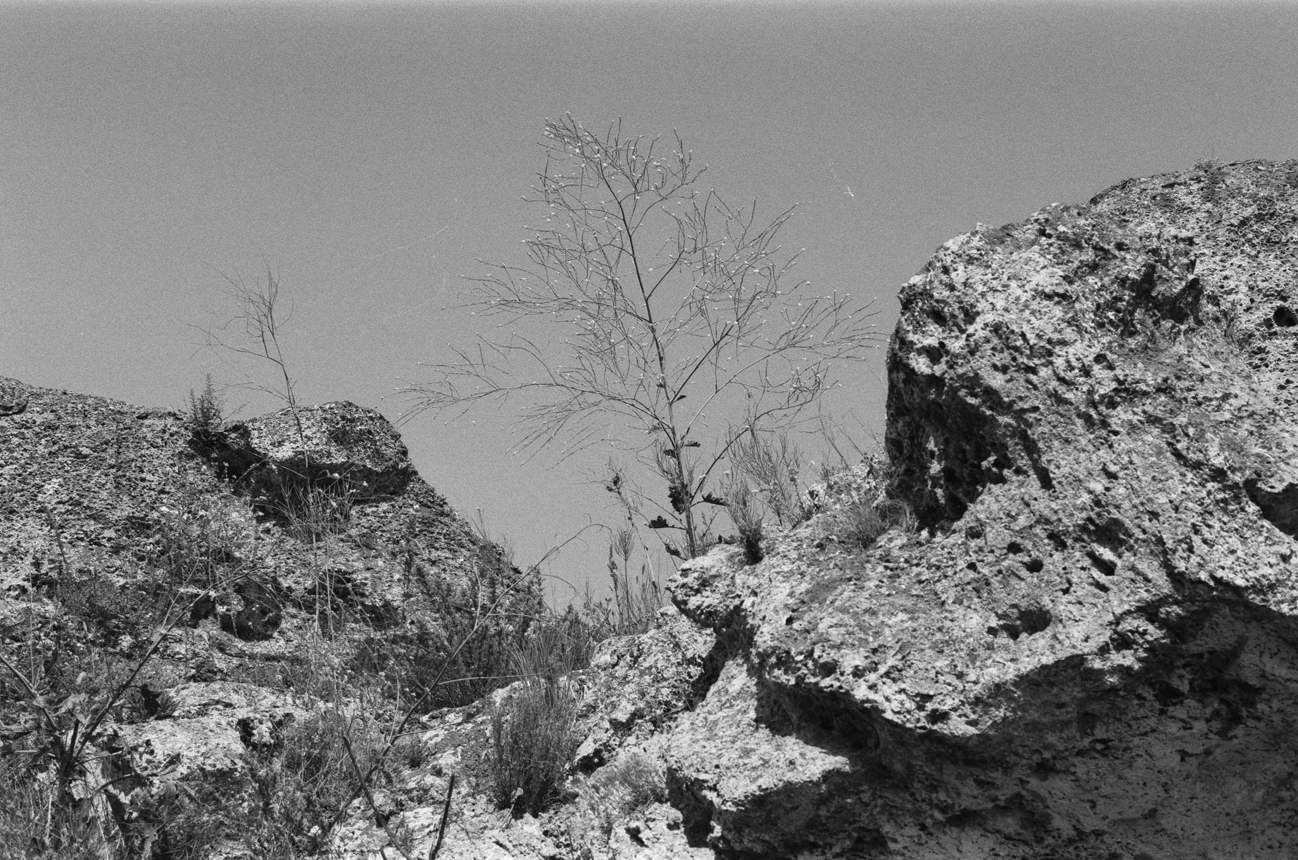 Move me // ukraine, crimea IV. EVER EXPOSED