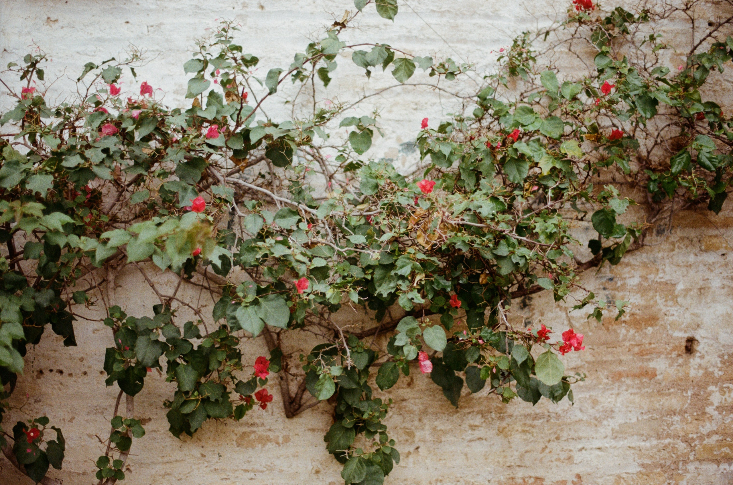 Spanish sahara // spain, seville. EVER EXPOSED