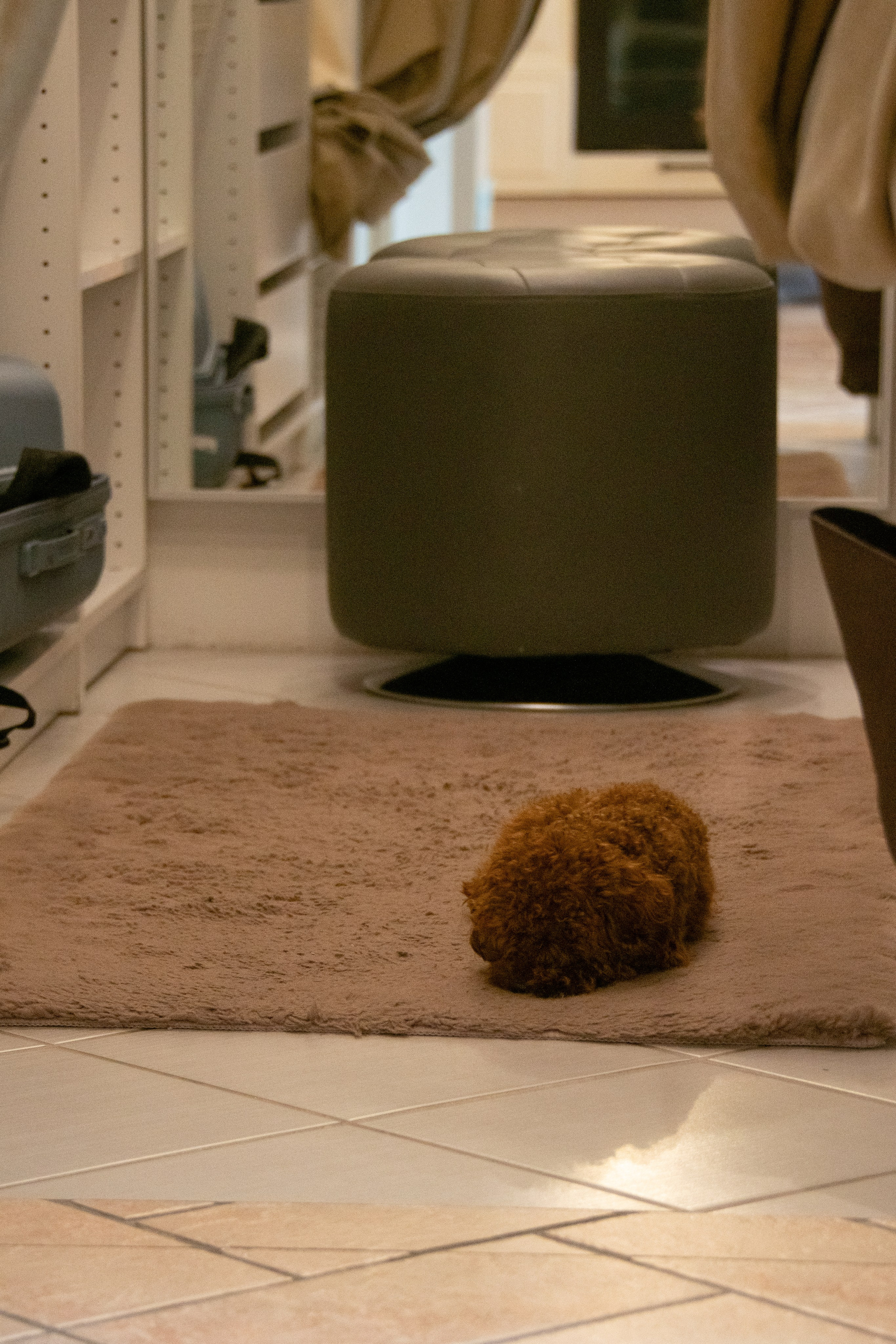 Девичник в Императорском стиле. Фотограф в Санкт-Петербурге Ксения Яковчук