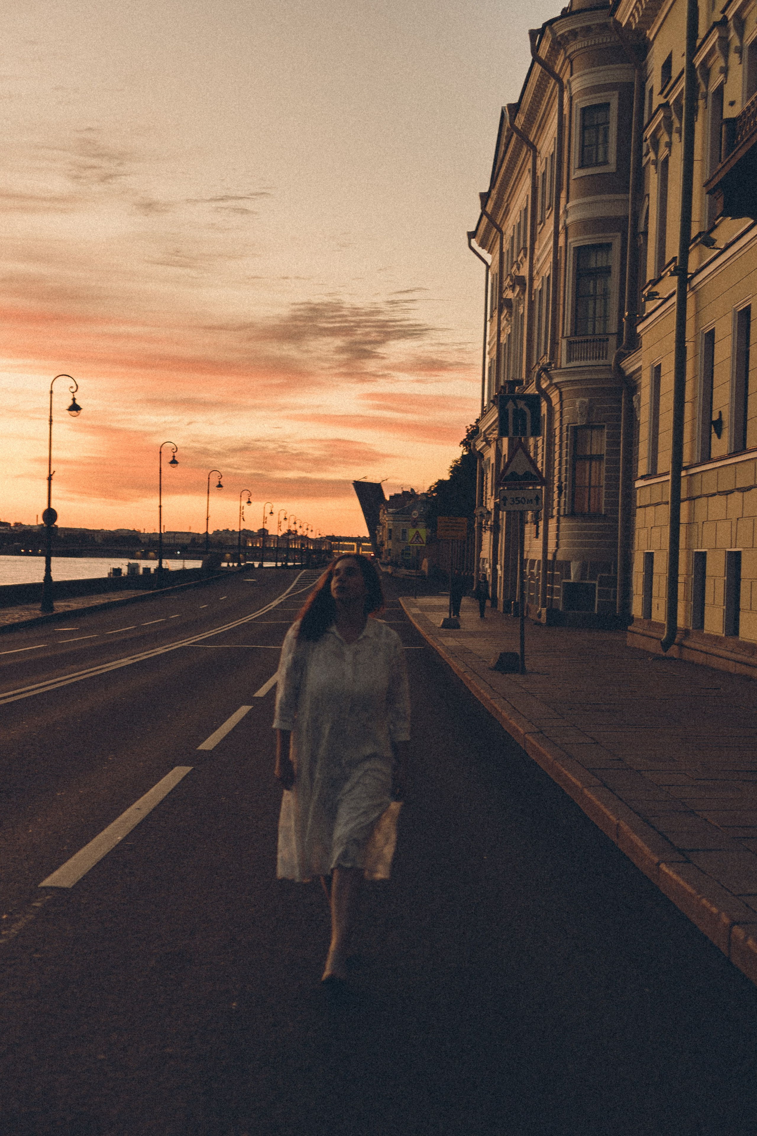 РАССВЕТ С РАЗВОДНЫМИ МОСТАМИ. Профессиональный фотограф, Санкт-Петербург — Виктория Богомолова