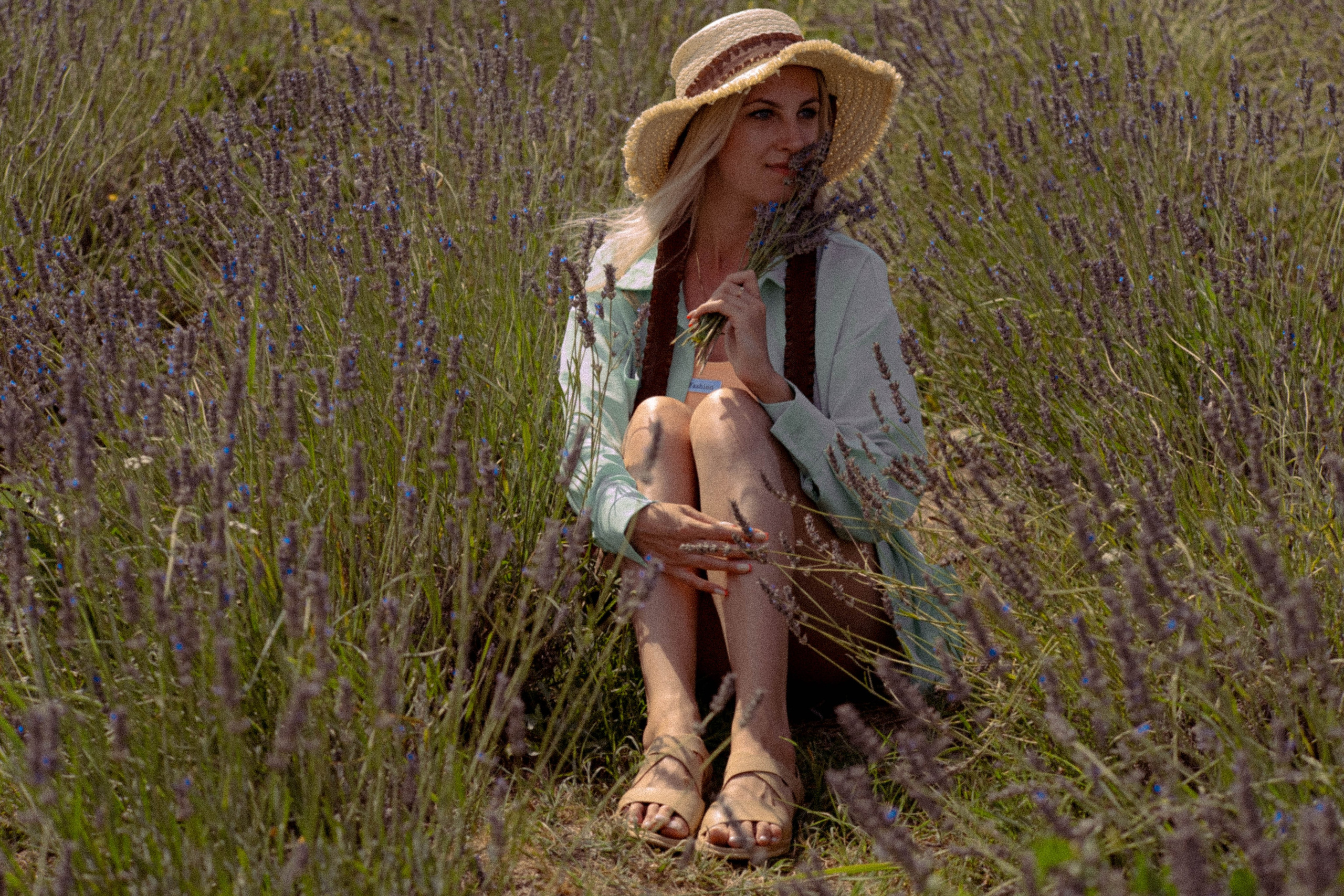 ЛАВАНВОДОВОЕ ПОЛЕ. Профессиональный фотограф, Санкт-Петербург — Виктория Богомолова