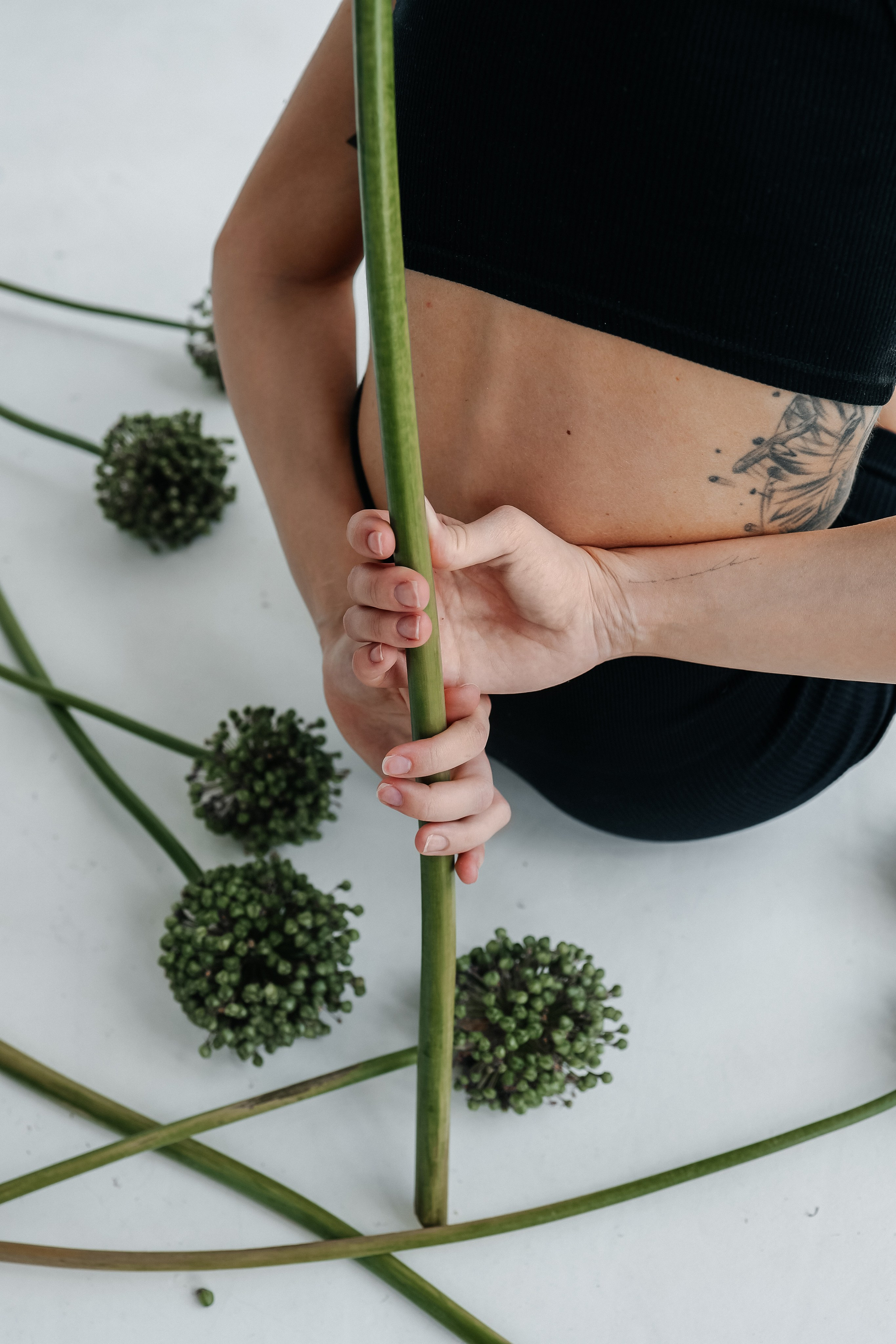 СОФЬЯ. Главная