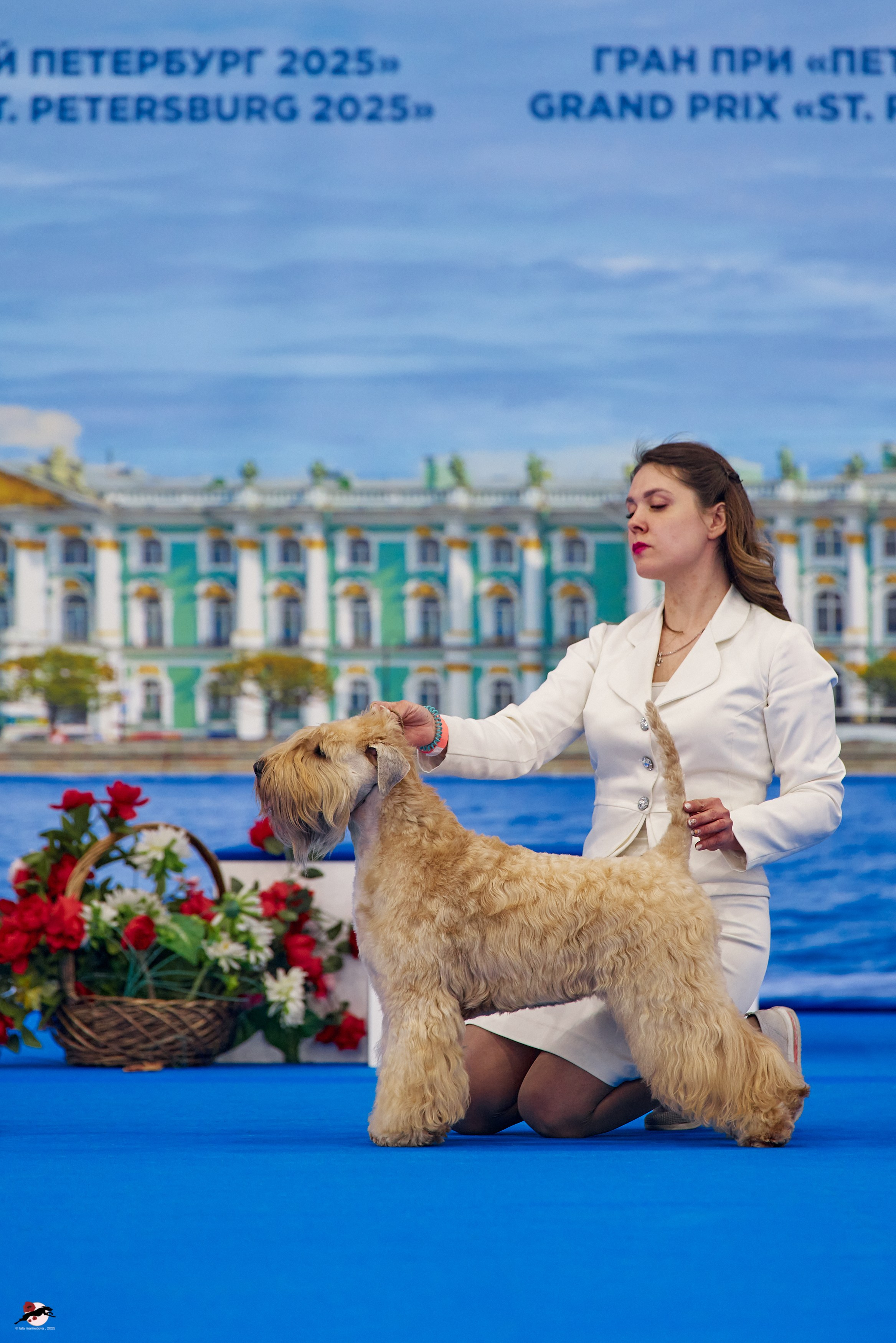 27.04.2025 | "Петербург-Элита 2025" & «КУБОК «ЭЛИТЫ»-2025»