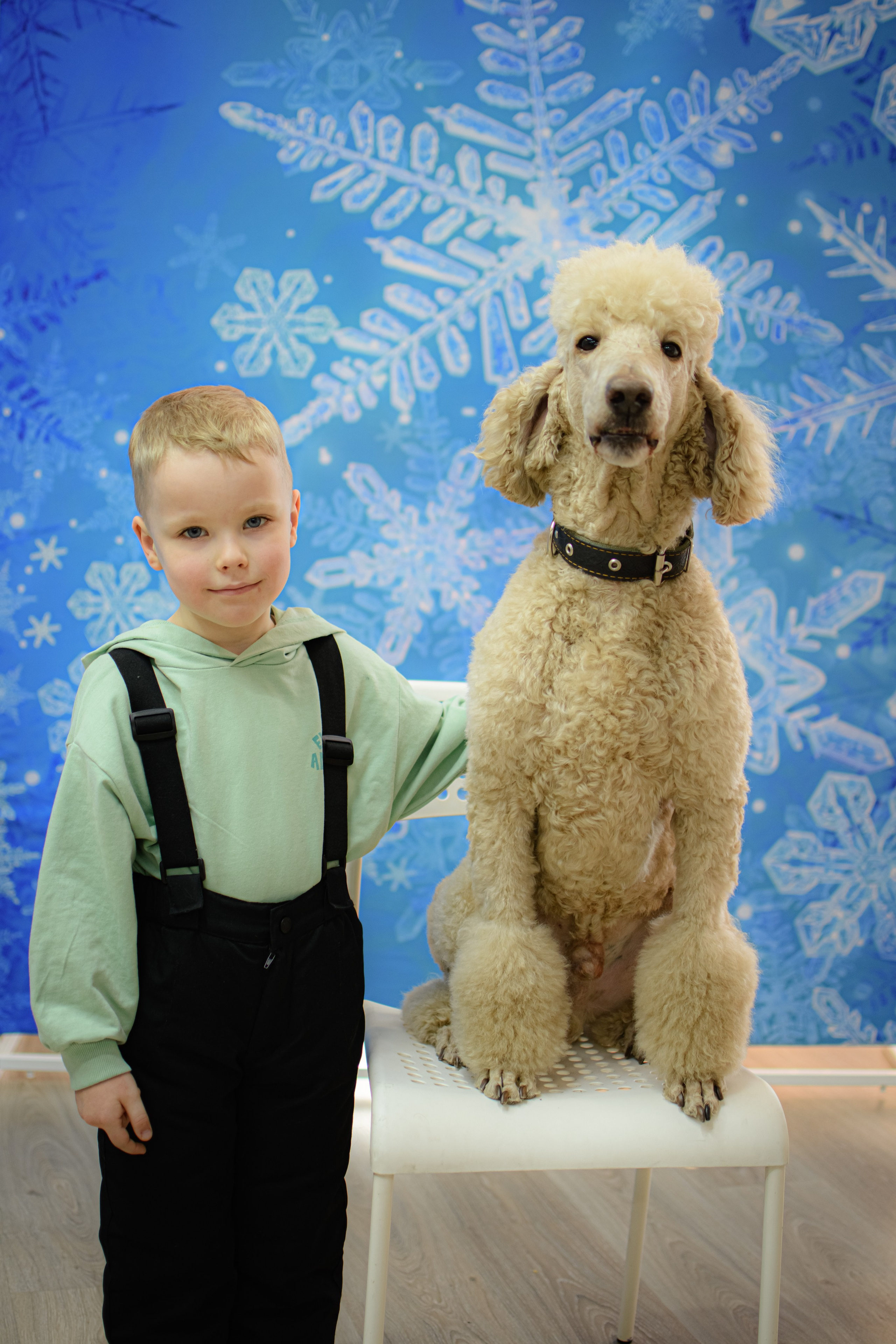 HAPPY NEW YEAR. Photokarish