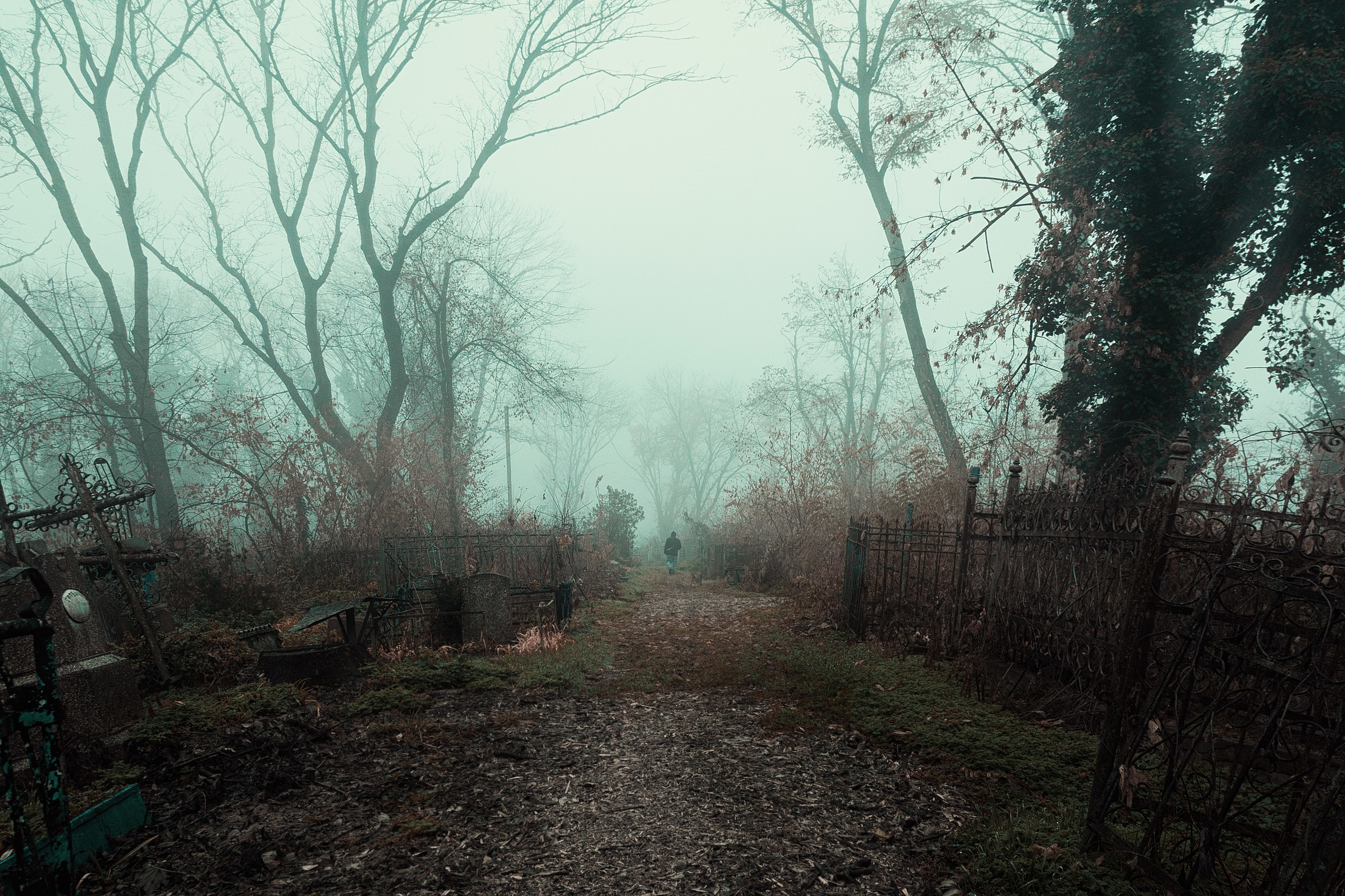 Пейзаж, природа, путешествие, воздух, красивые пейзажи прогулки,  travel-фотография, путешествующий фотограф, Россия, Краснодар, туманный пейзаж