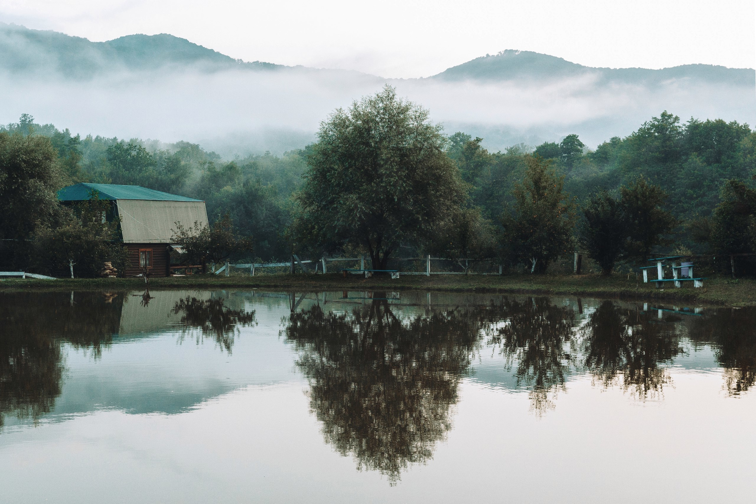 Пейзаж, природа, путешествие, воздух, красивые пейзажи прогулки,  travel-фотография, путешествующий фотограф, Россия, горы, лес, дерево, спокойствие