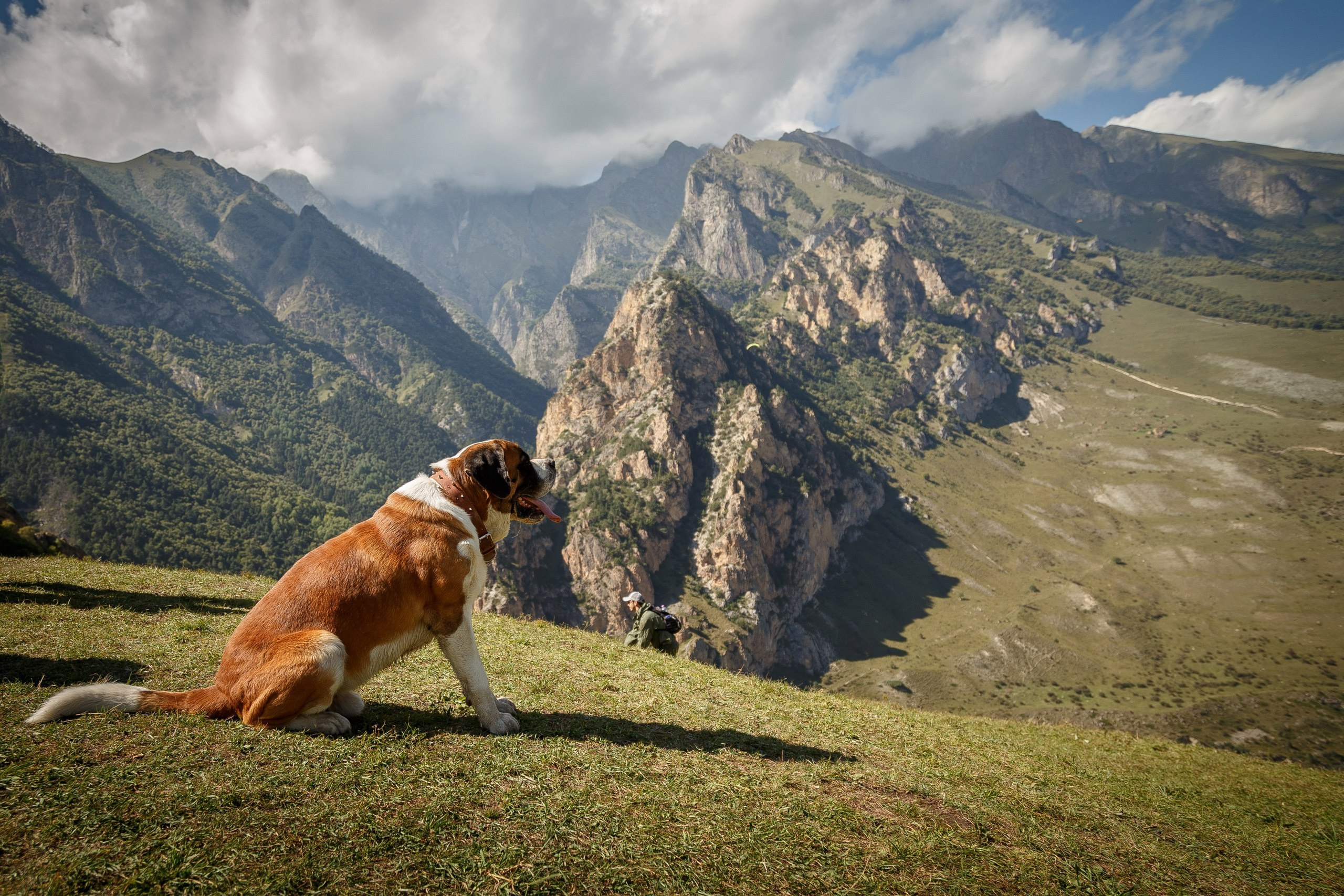 Пейзаж, природа, путешествие, воздух, красивые пейзажи прогулки,  travel-фотография, путешествующий фотограф, Россия, горы, Чегем, Кабардино балкария, горный пейзаж, собака