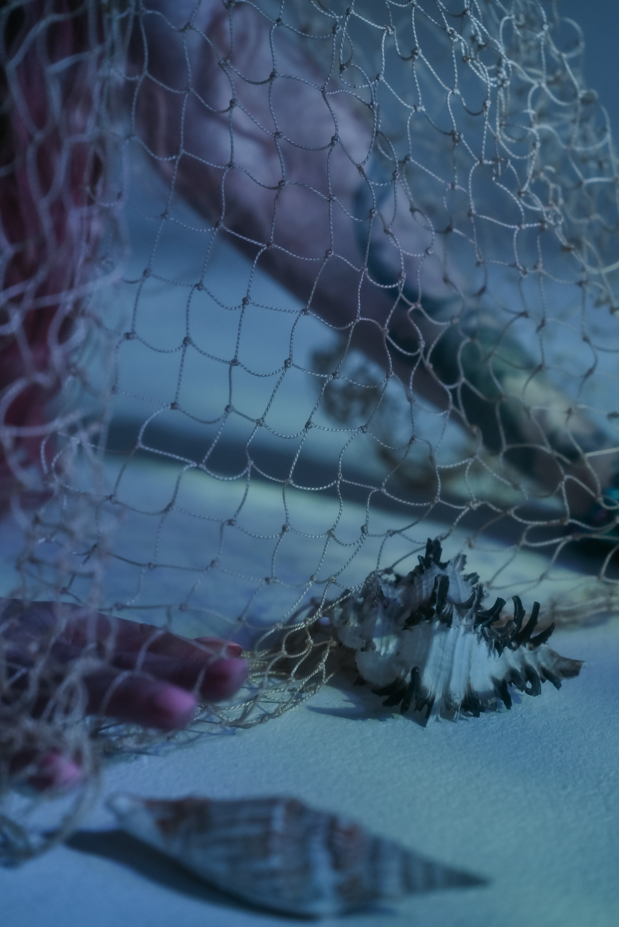 Ariel. Ваш фотограф