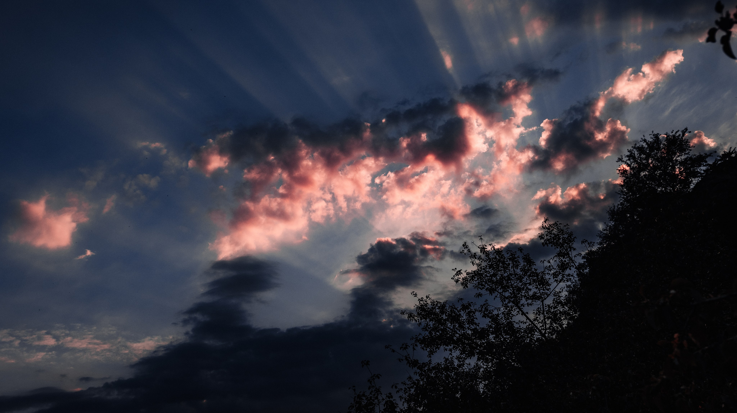 HEAVEN. Фотограф. Пейзажи, макро, портреты. Город Енакиево, без границ в съёмке