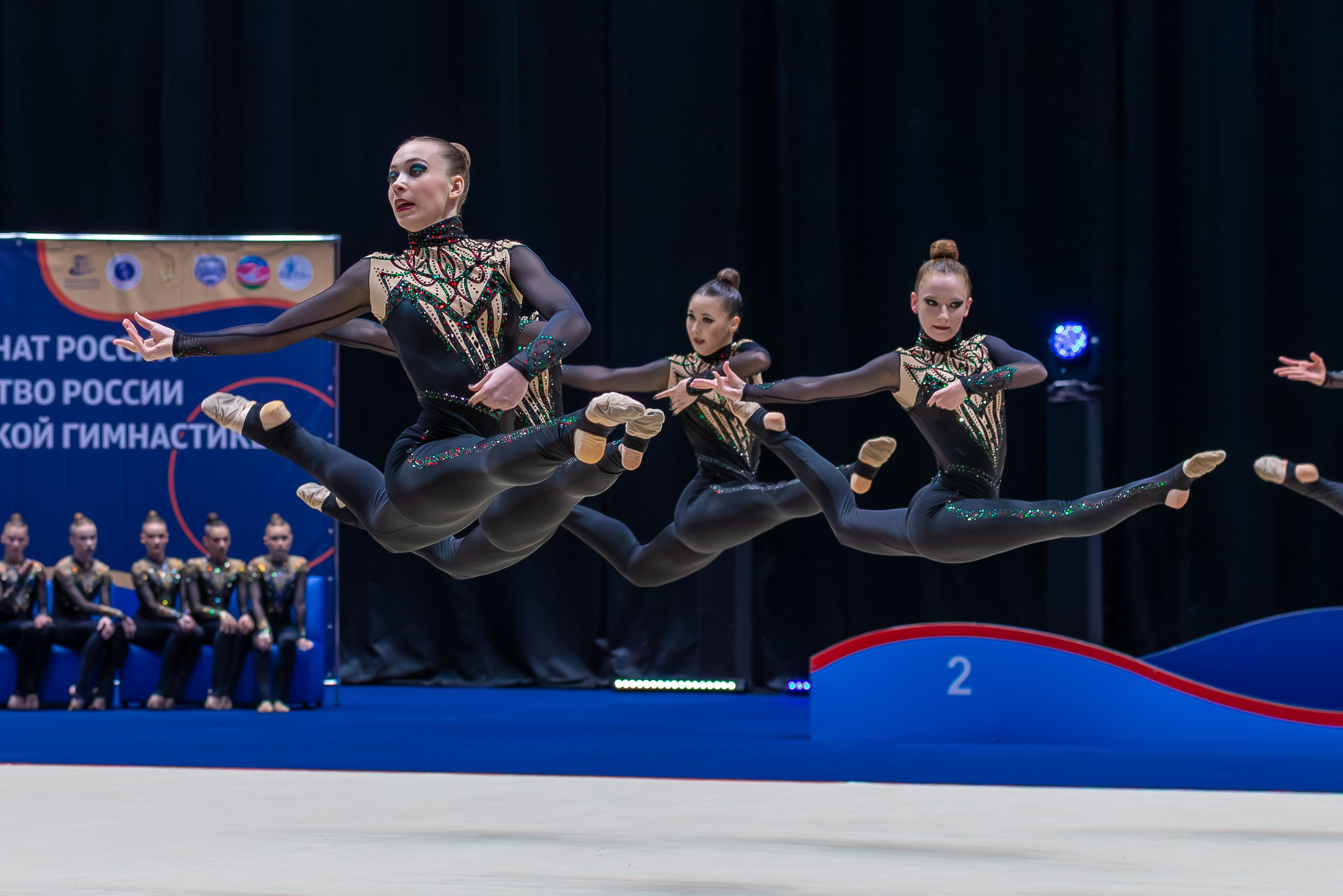Чемпионат и Первенство России по эстетической гимнастике. GYM-PHOTO. Спорт в кадре