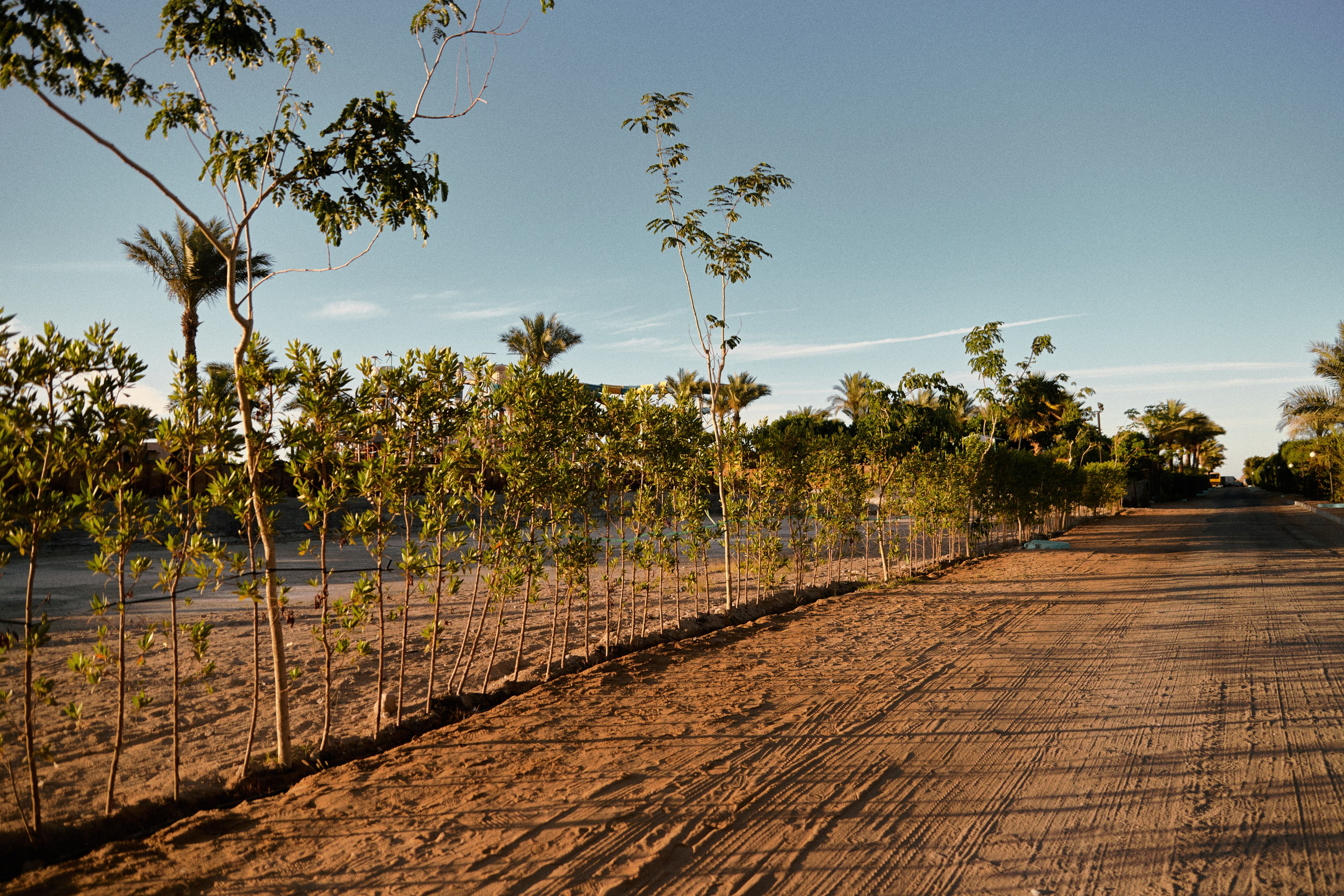 Улица горизонтальная. Jorgis — фотограф в Хургаде / обучение фотографии