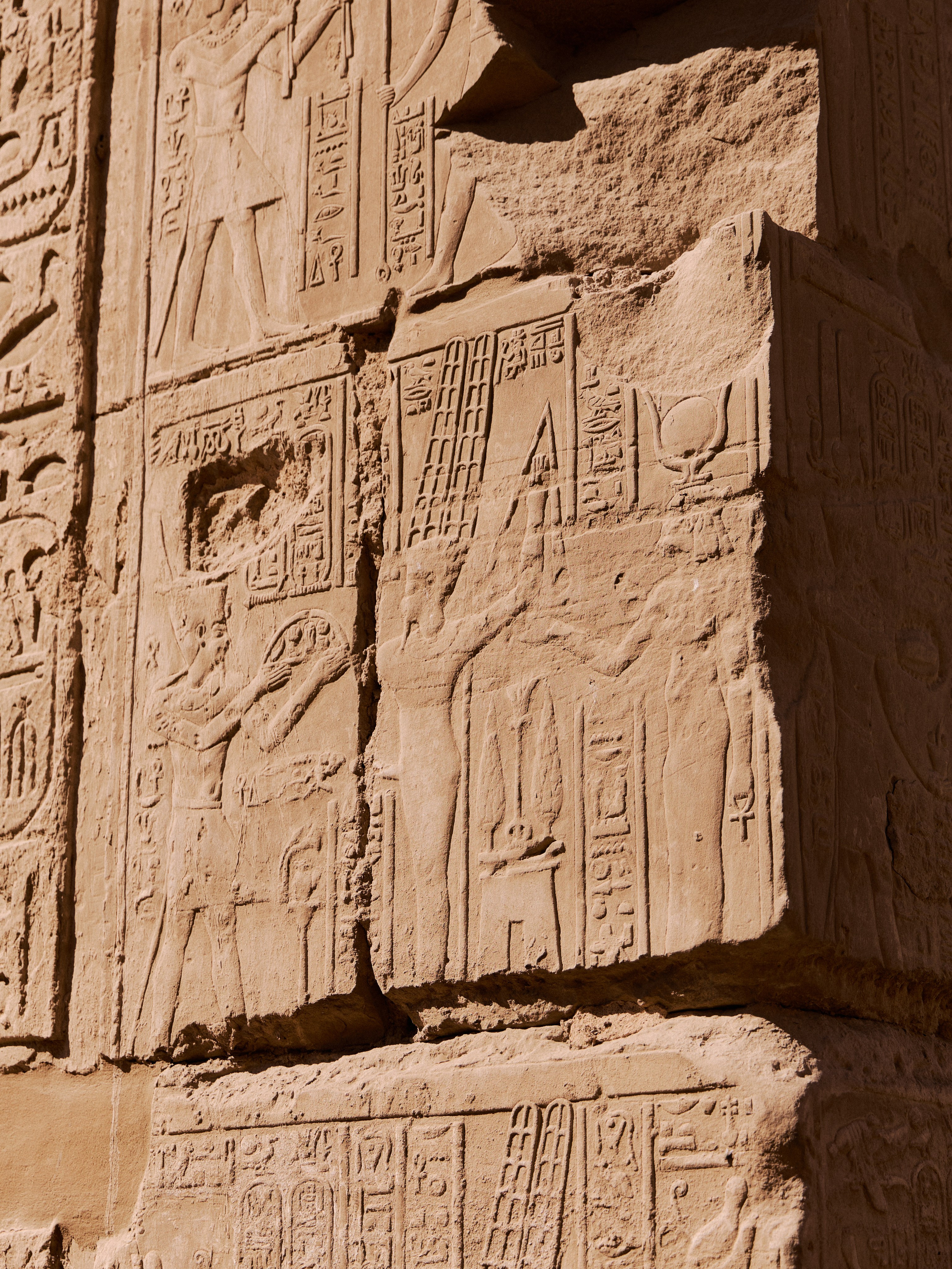 Другое 4. Jorgis — фотограф в Хургаде / обучение фотографии