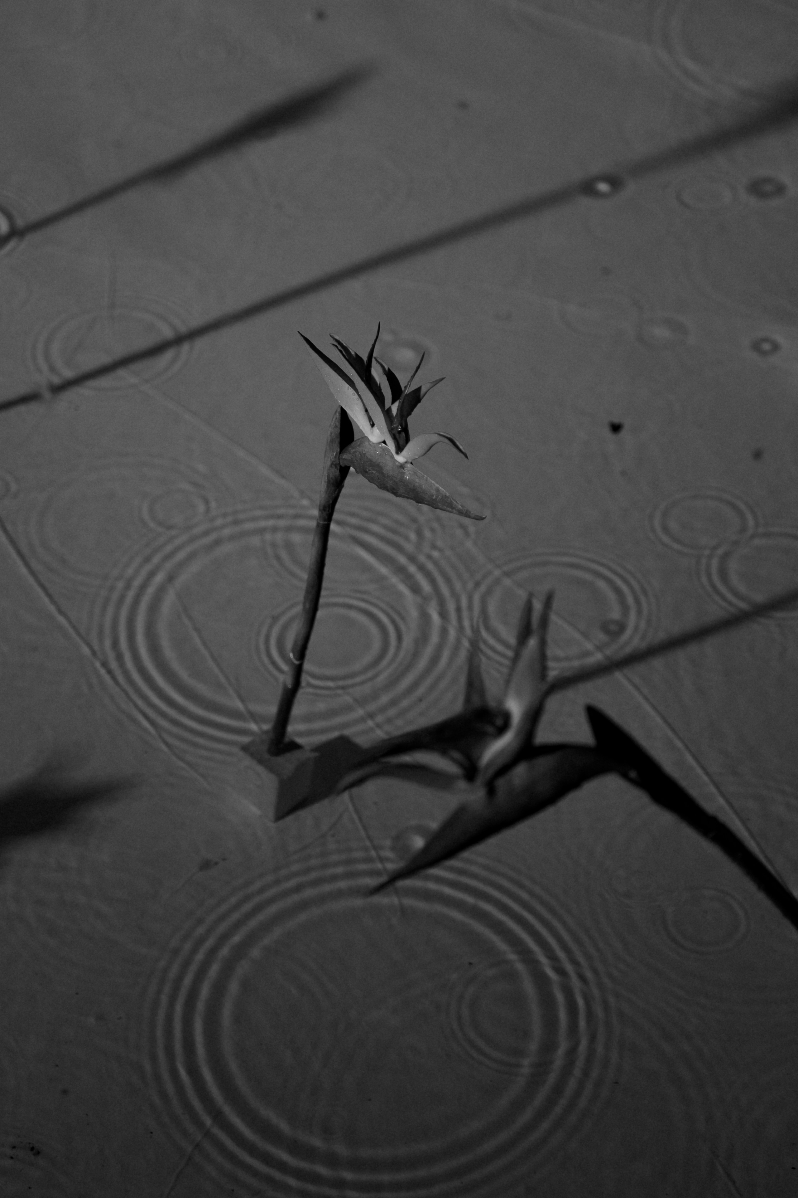 Майский Дождь. Полный день (сокращено). Семейный и портретный фотограф в Саратове Сахарова Маша