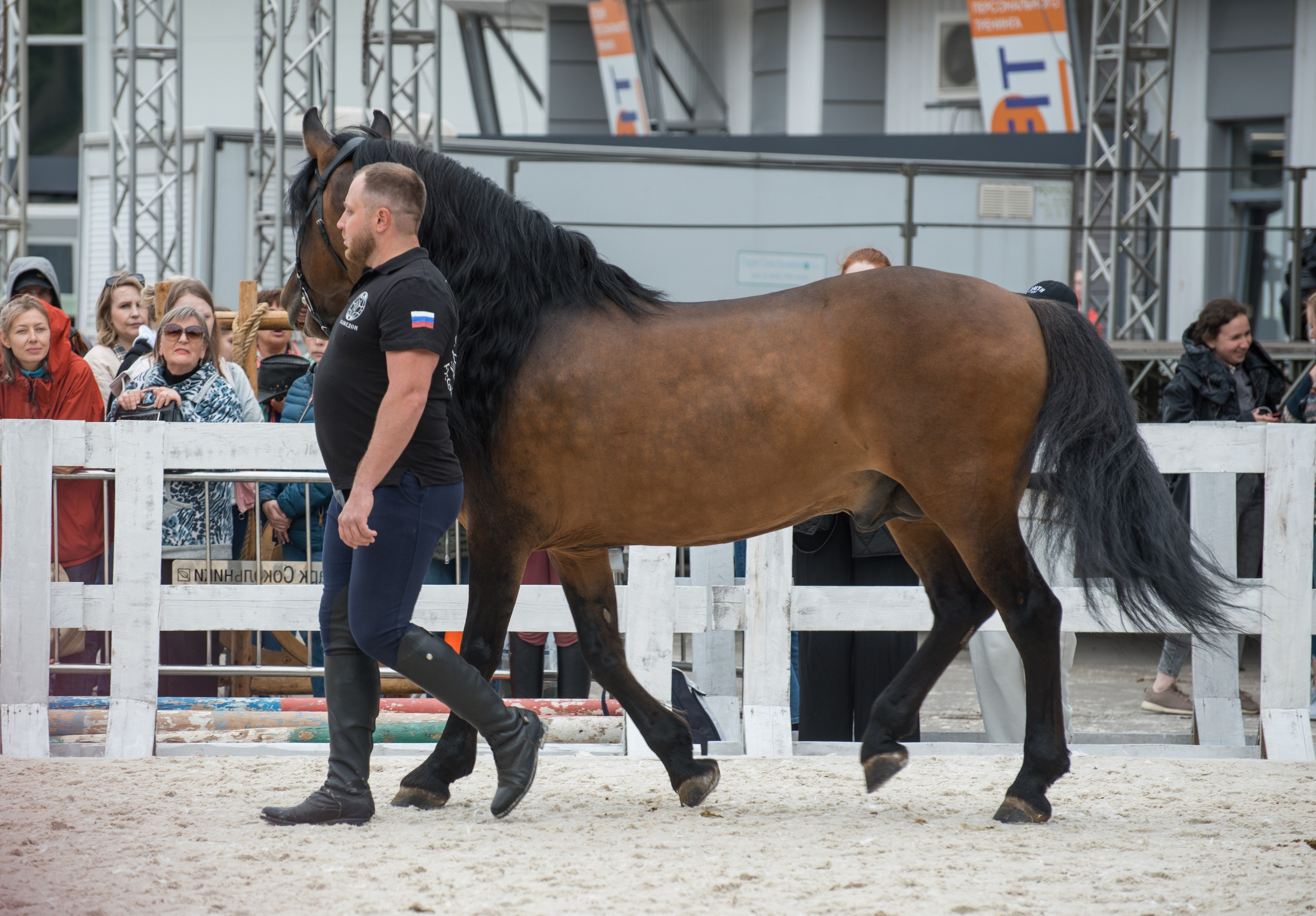 Эквирос, Москва. Конный фотограф в Саратове Юлия Иванова