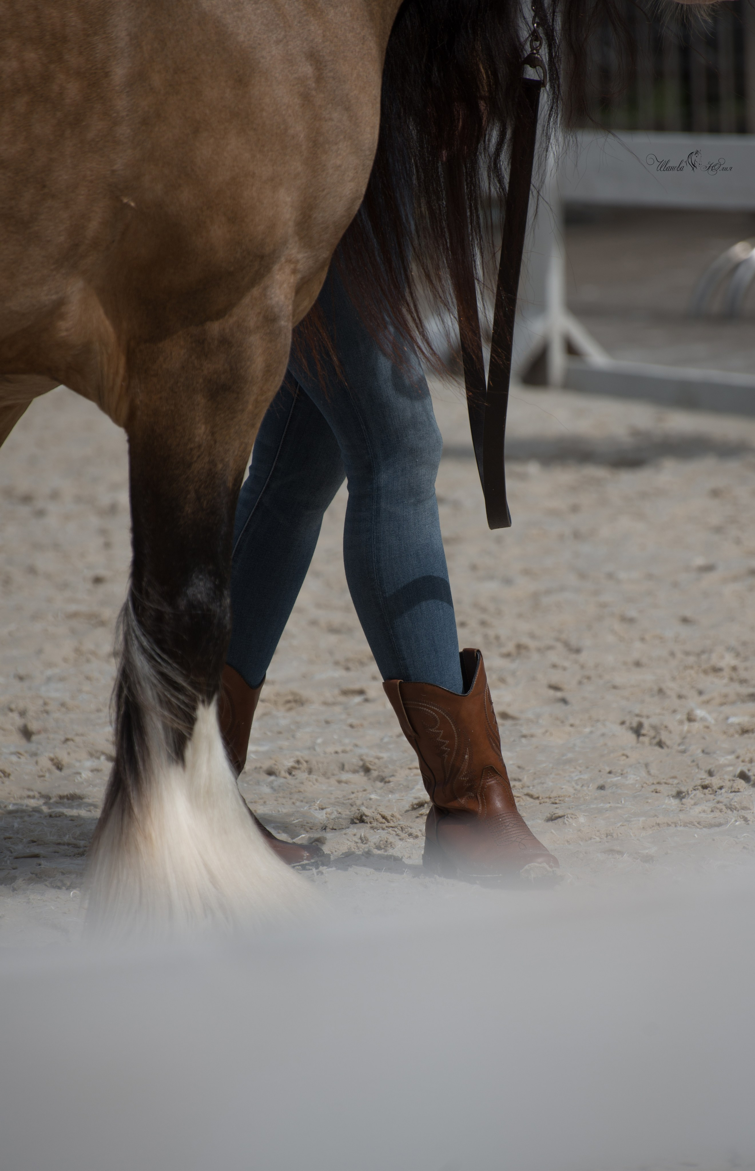 Эквирос, Москва. Конный фотограф в Саратове Юлия Иванова