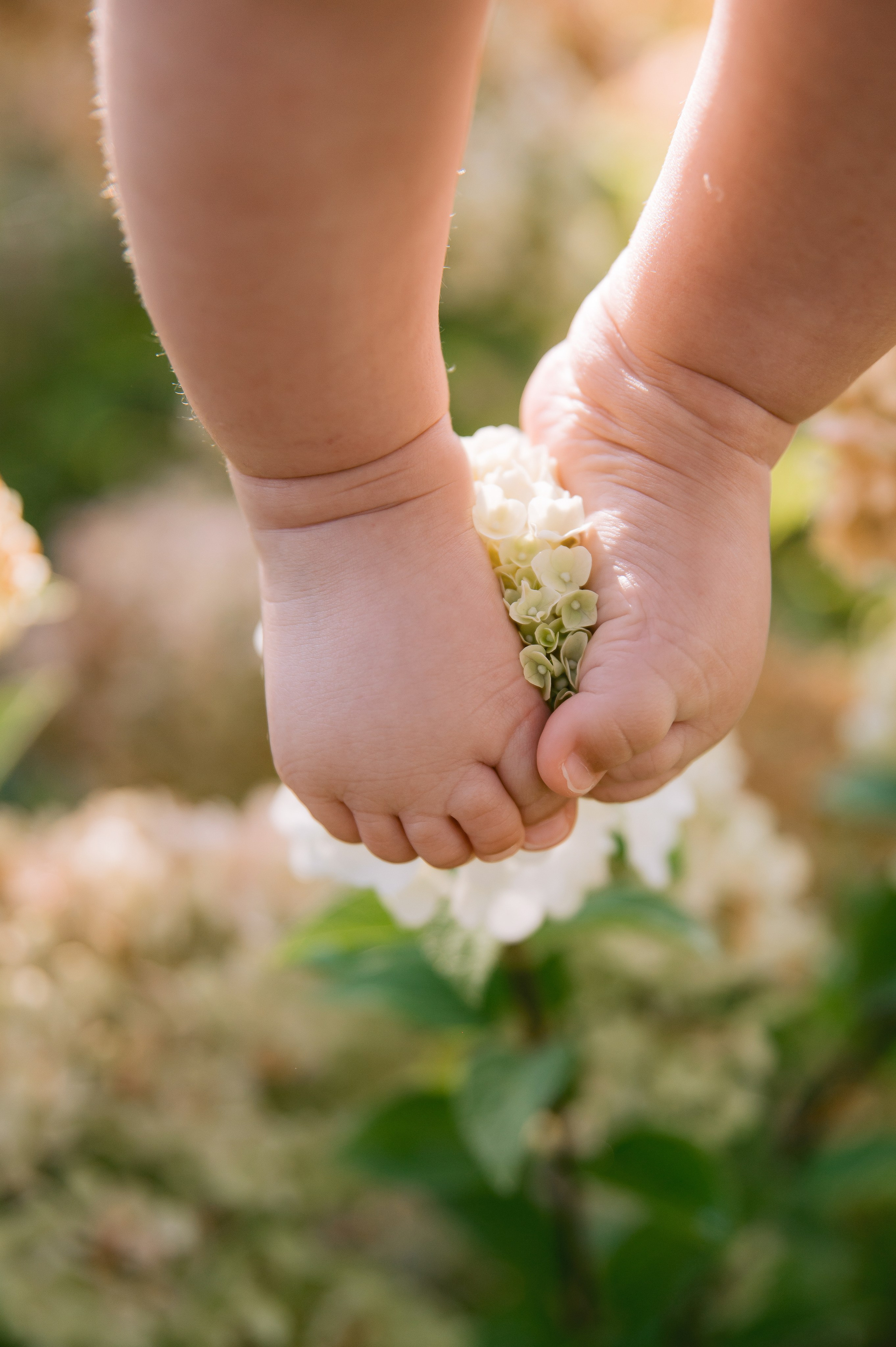 Съемка в саду…. Свадебный фотограф Екатерина Зайцева Краснодар