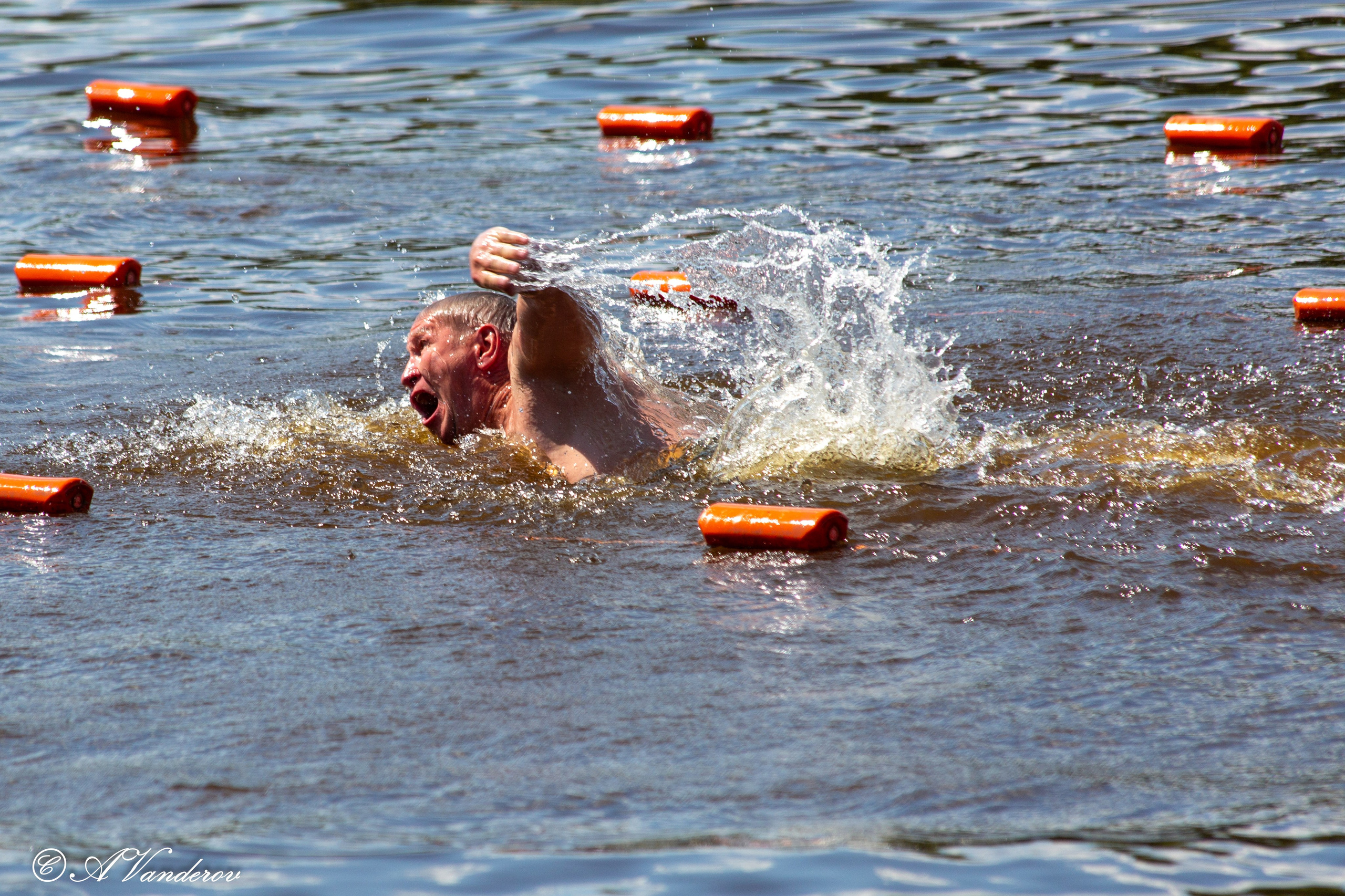 Заплыв 02.06.2024. Фотограф Омск | Александр Вандеров