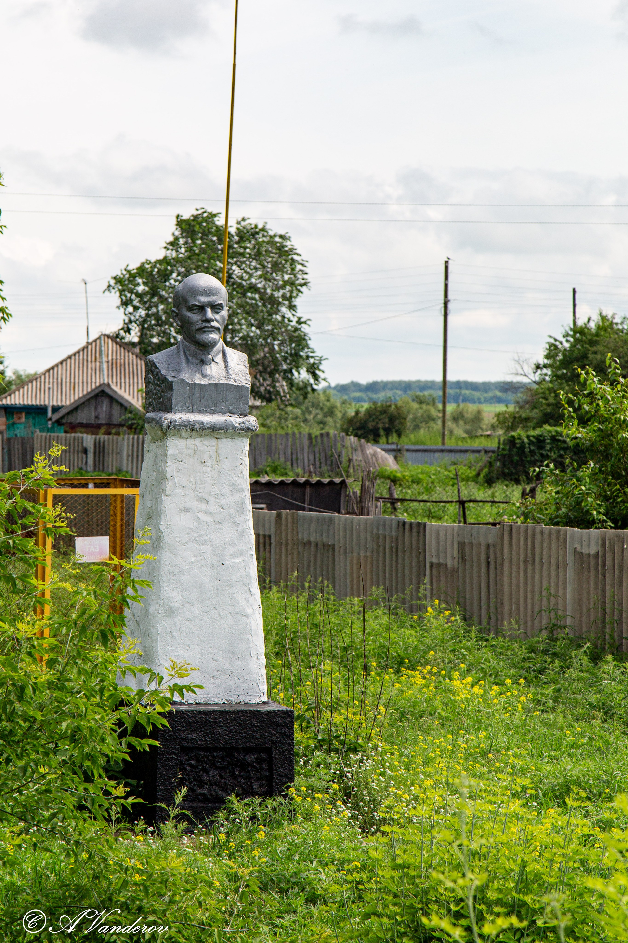 Калачинск 07.07.2024. Фотограф Омск | Александр Вандеров