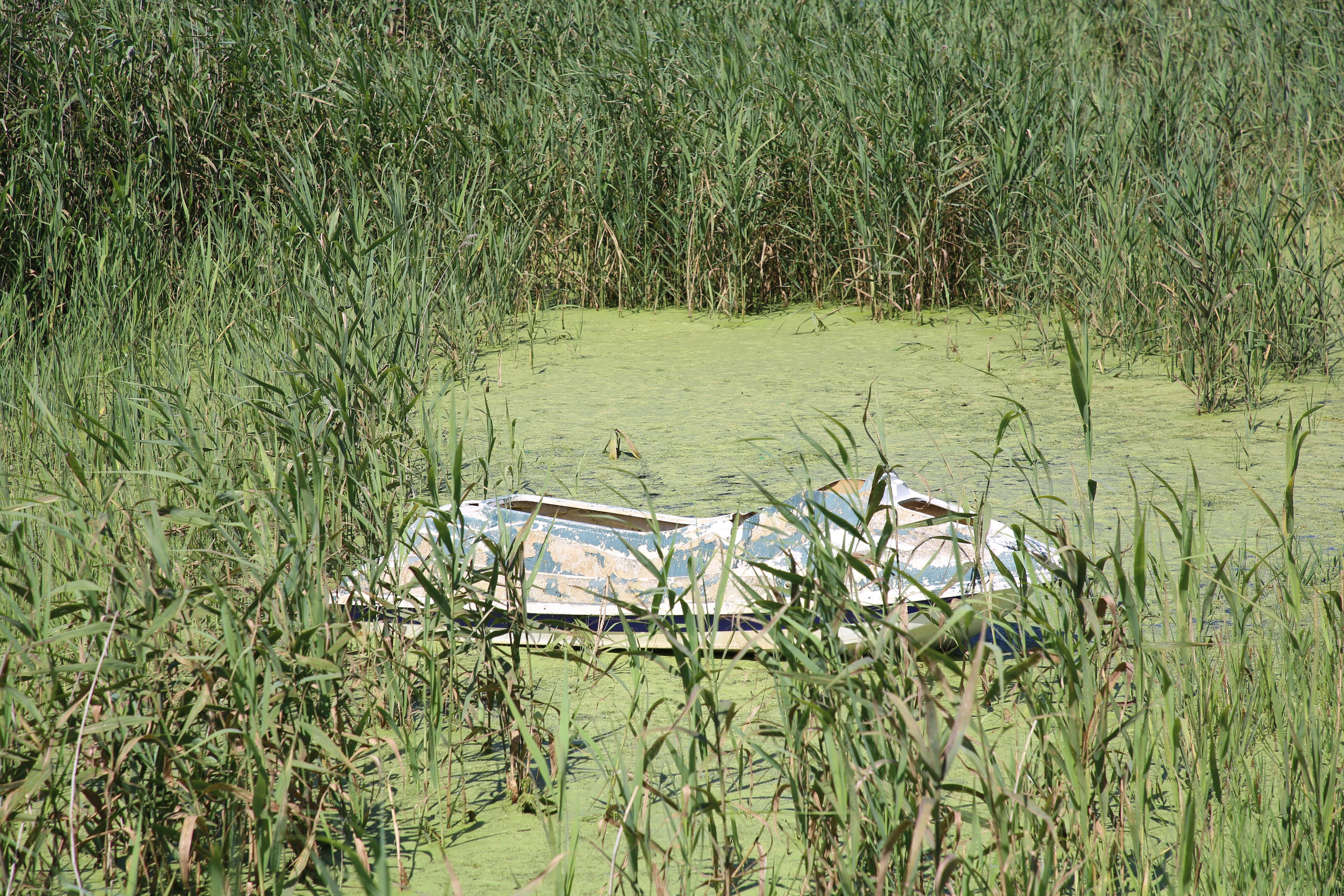 Esmoriz, Portugal. Andrey Filippov Photographer