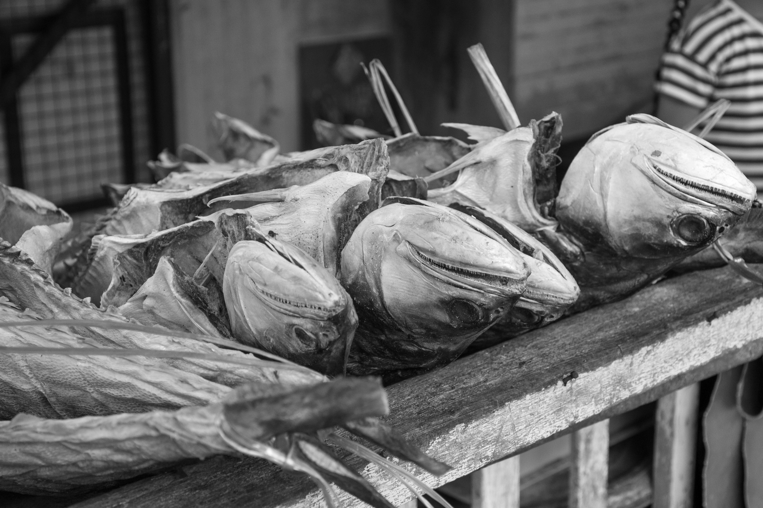 Остров Борнео, город Сандакан. Рыбацкая деревня и дорога к ней. Фотографии из путешествий