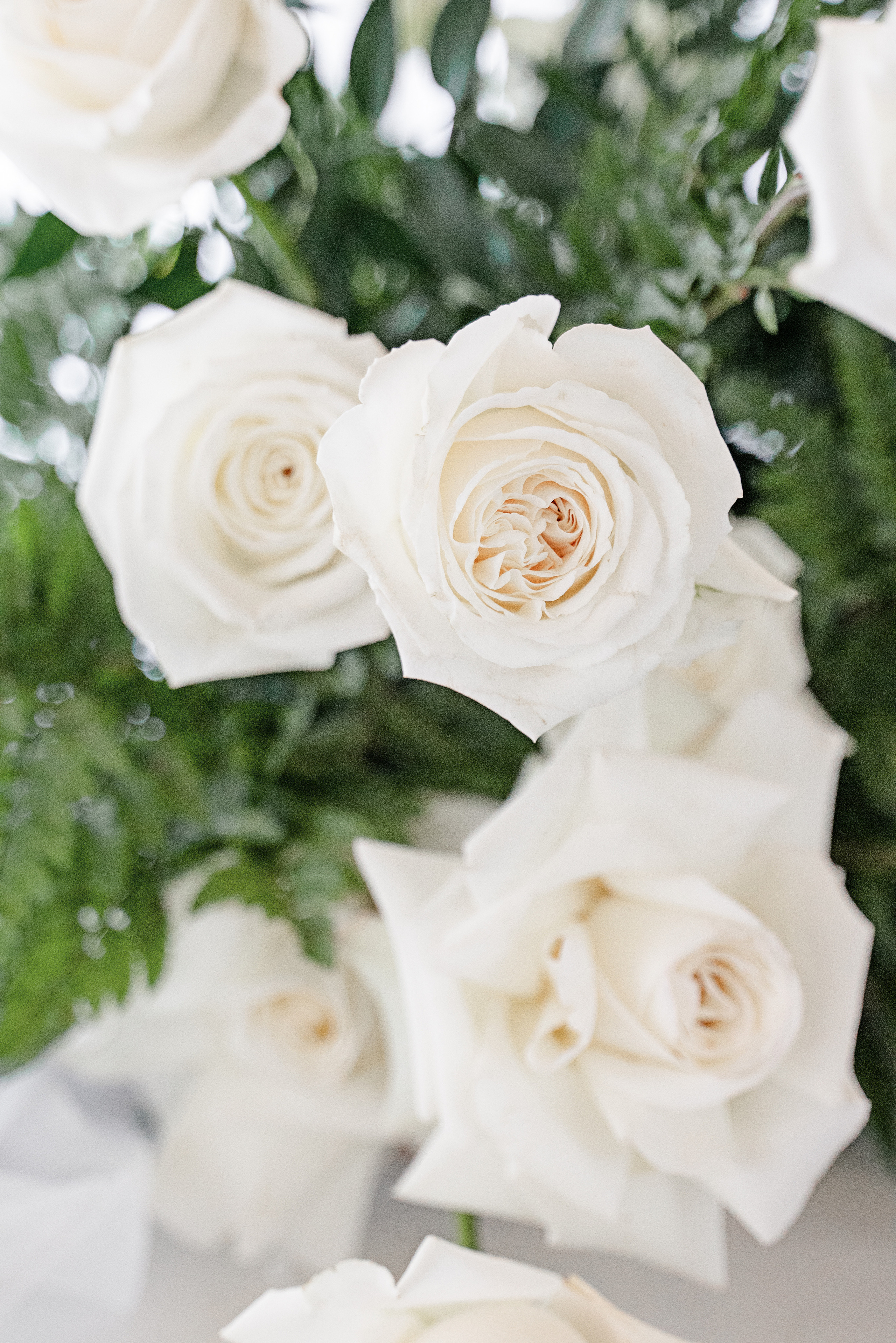 Зураб и София. Свадебный и портретный фотограф Юлия Васильева