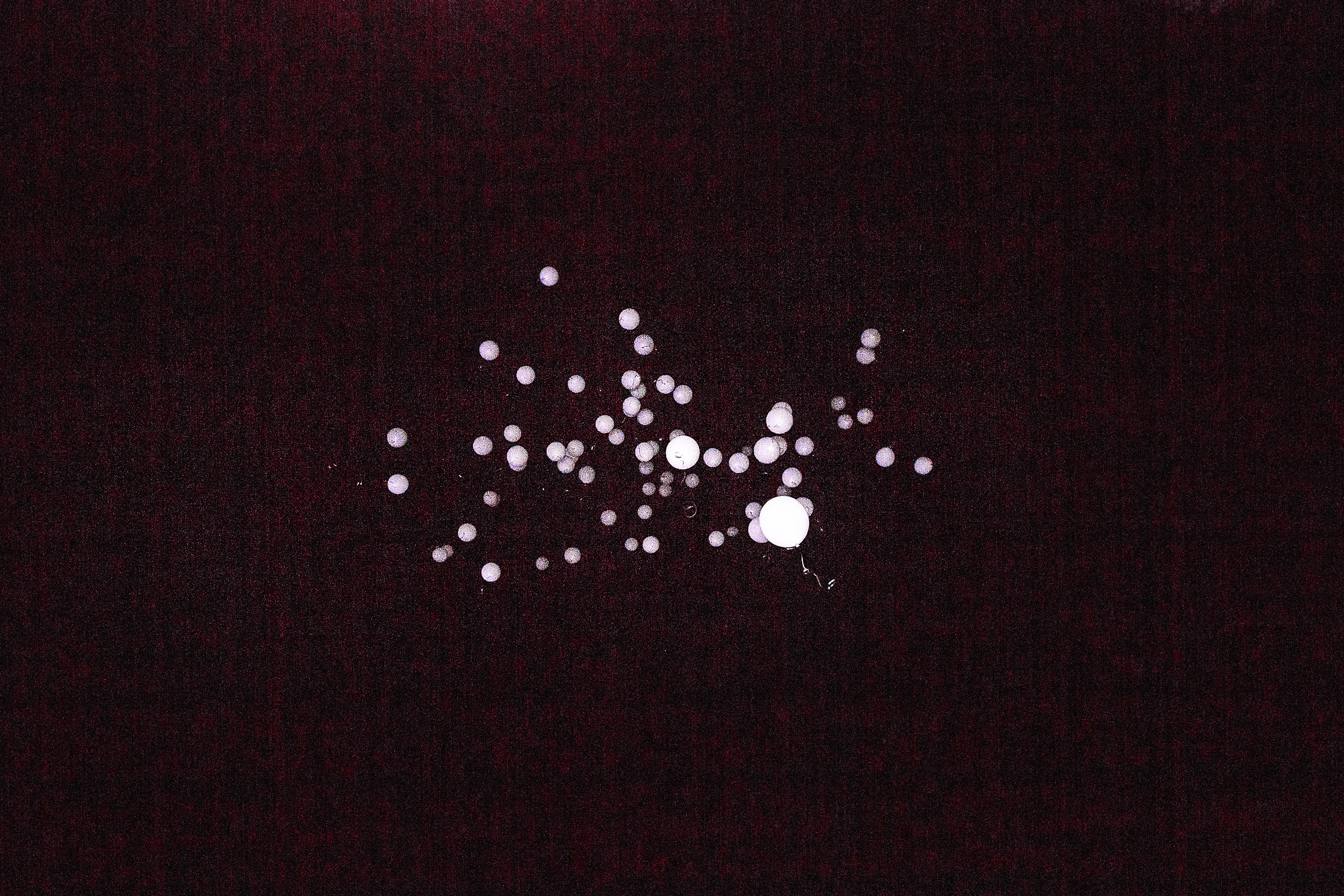 3. Свадебный и портретный фотограф Юлия Васильева