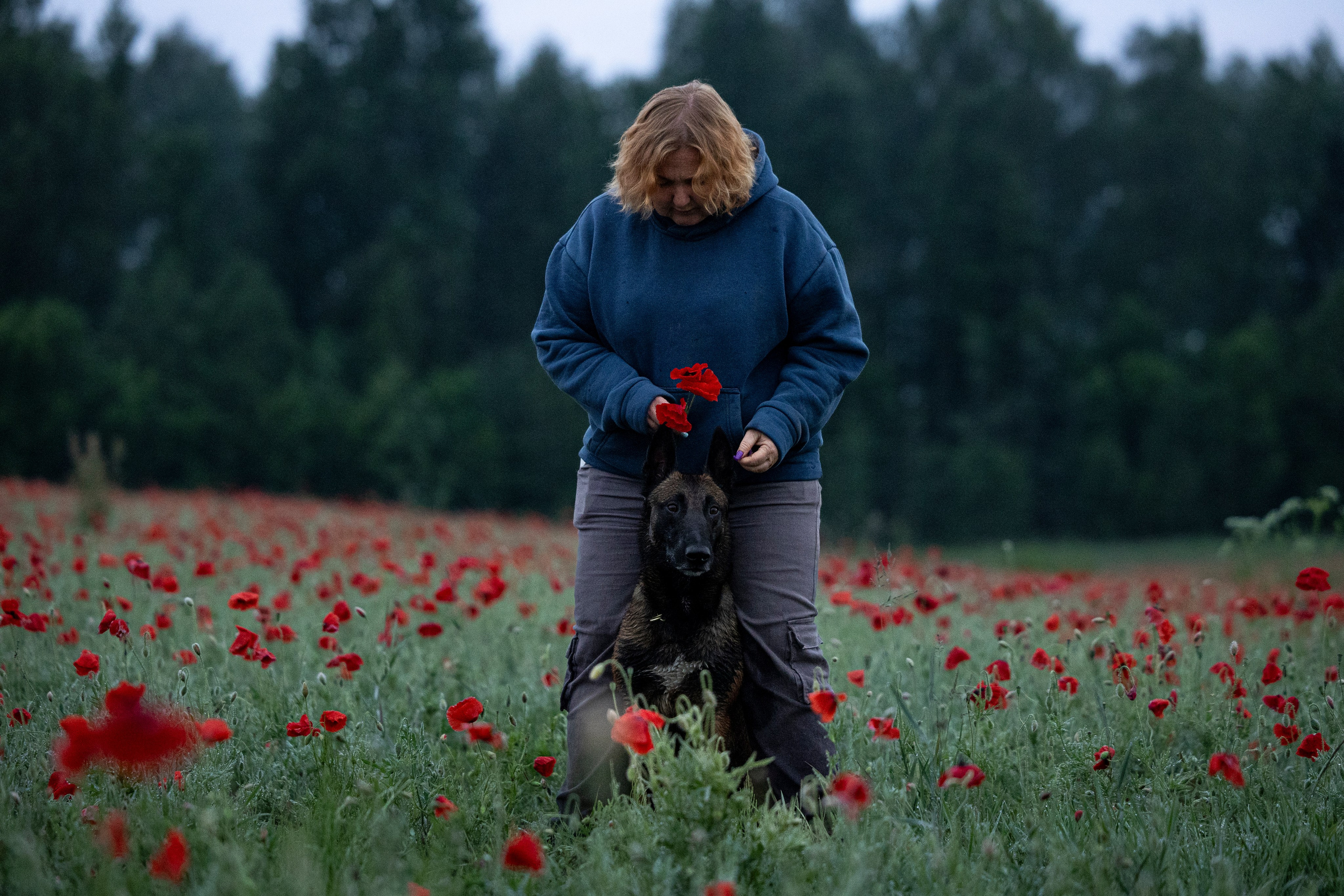 Маковое поле. Фотограф-анималист Анна Маринич