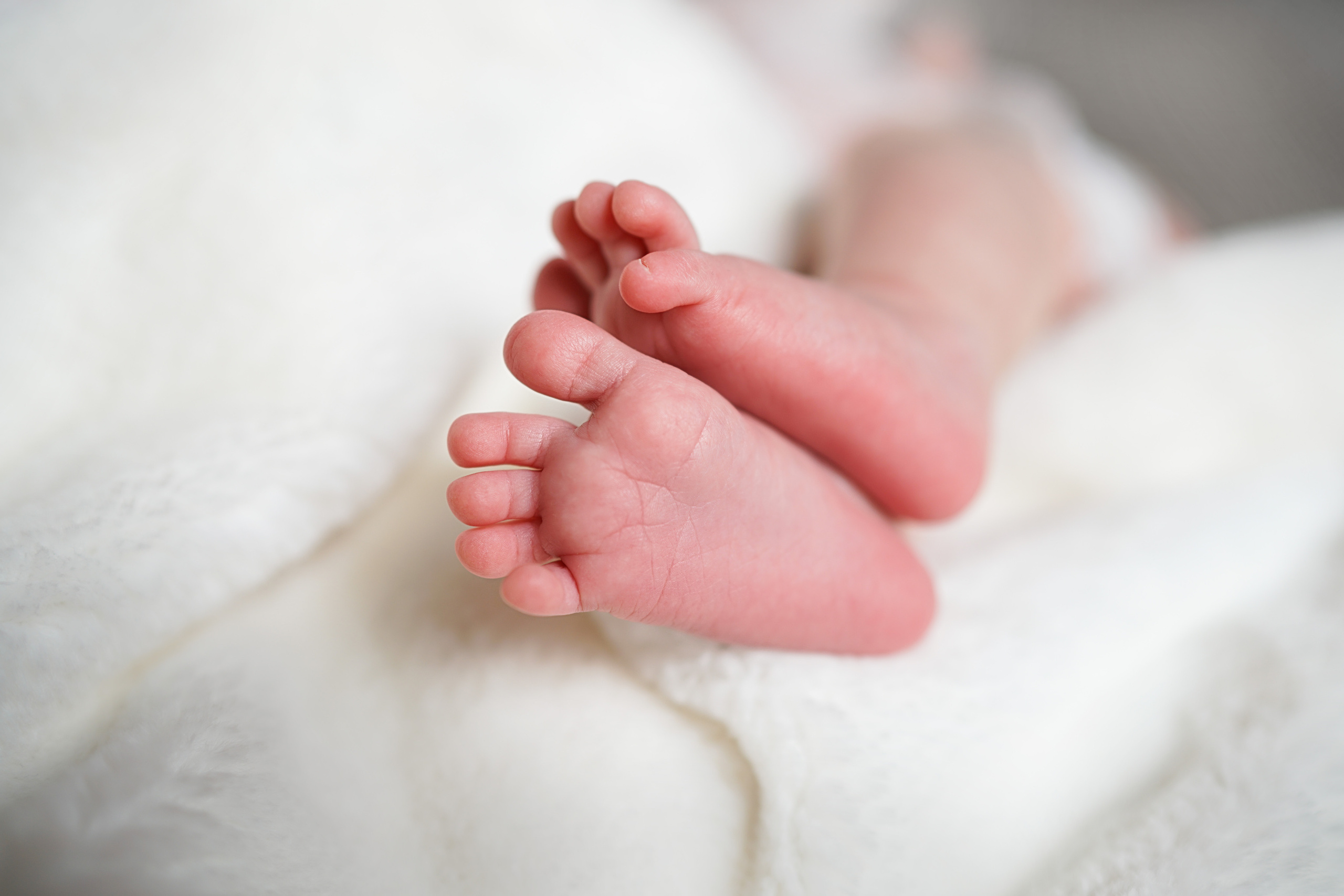 Малыши. Фотограф Наталья Непогода