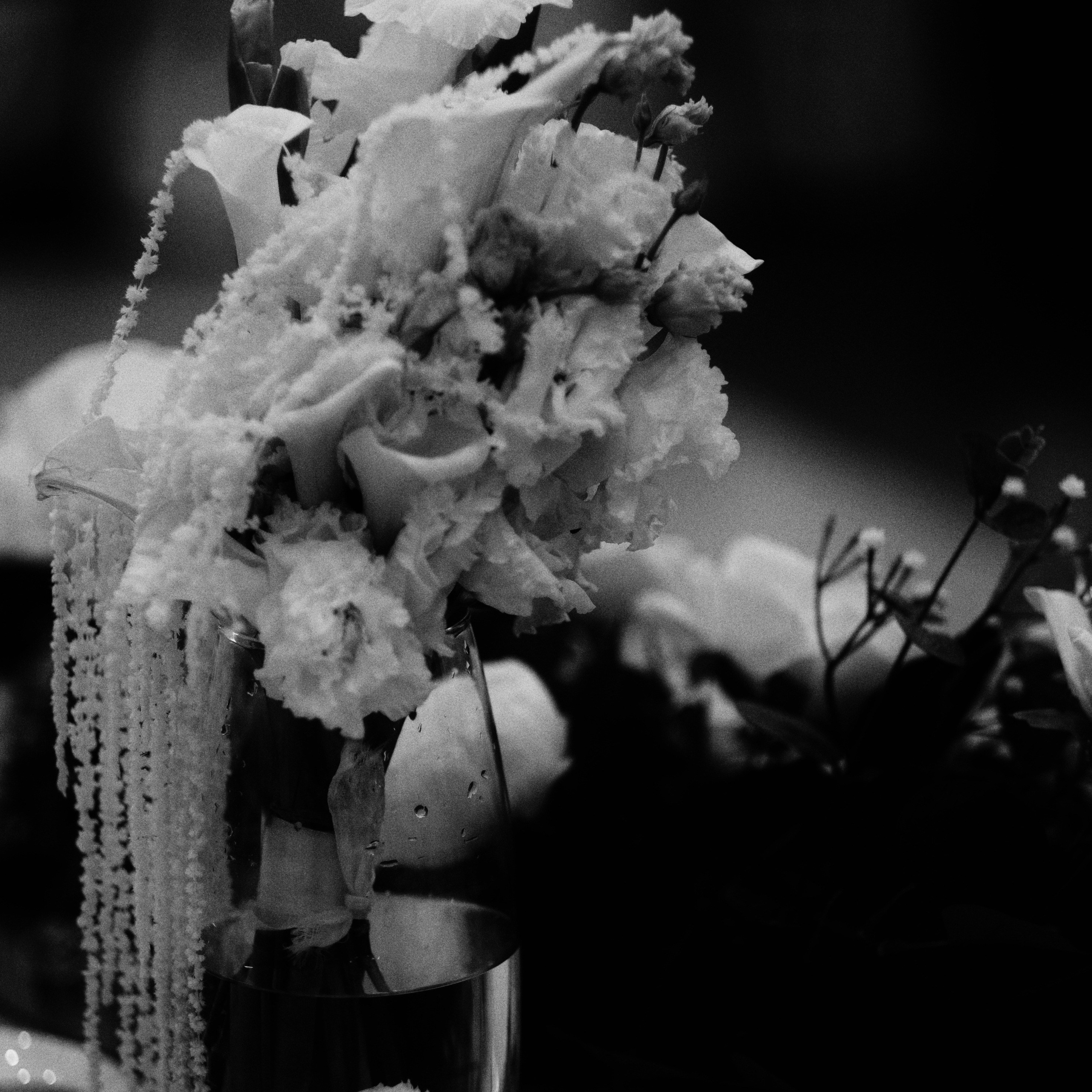 Услуги. Ragytka