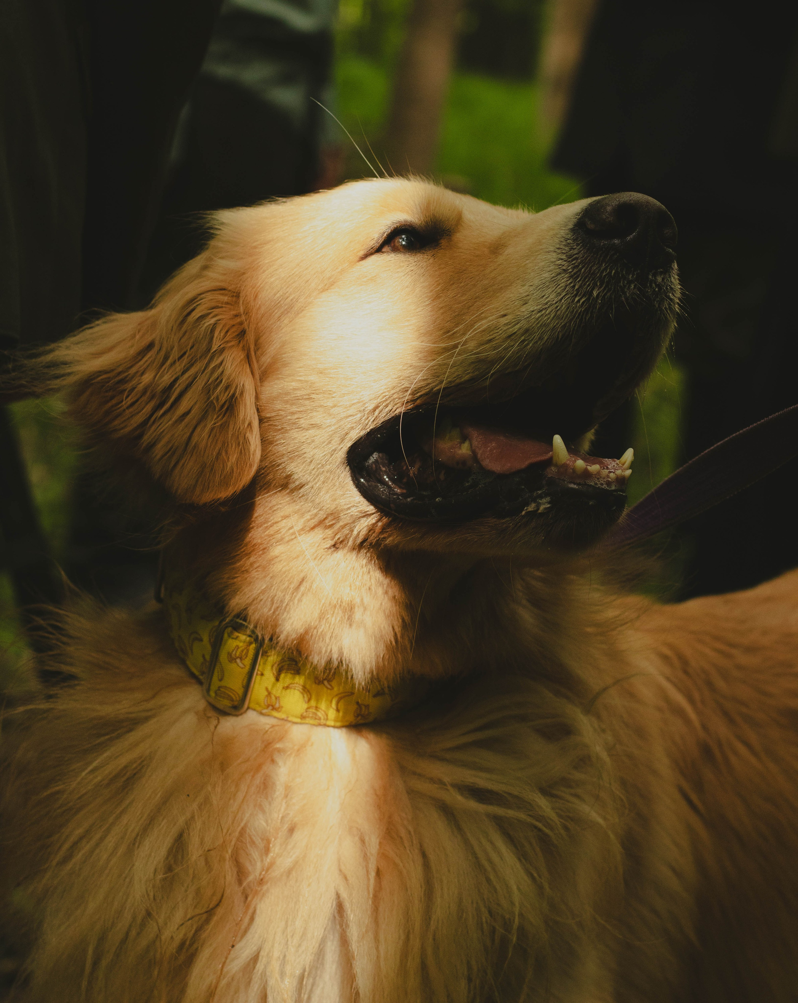 К/Ф «Надежда». Фотограф в Москве Ксюшенька