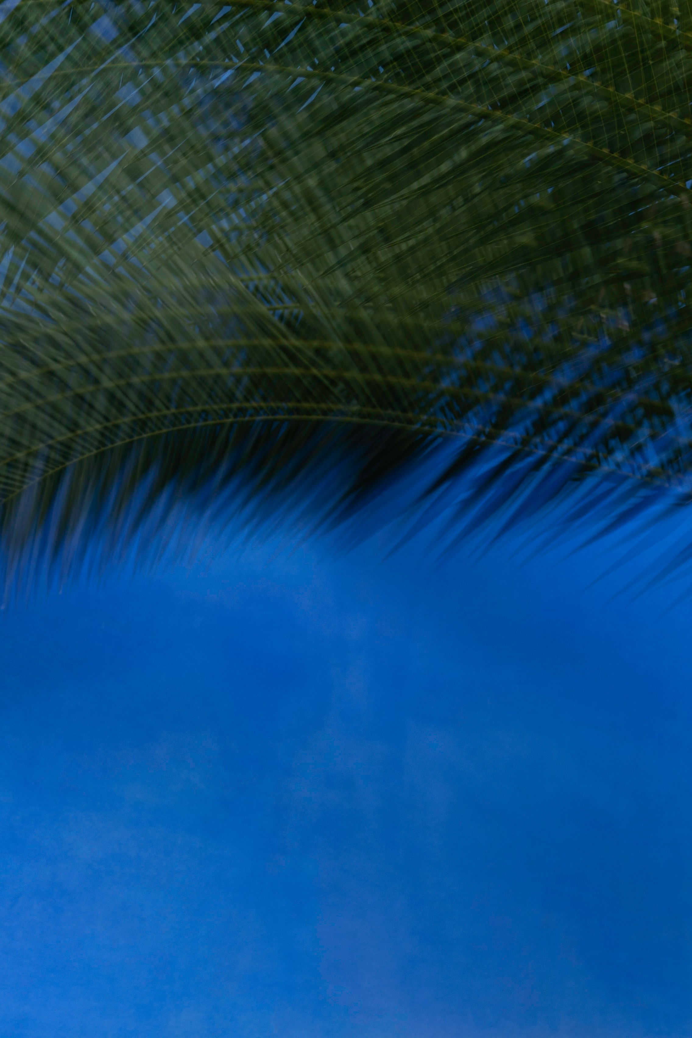 Порталы | Portals. Фотограф алина стерхова, алина стерхова фотограф, фотограф москва