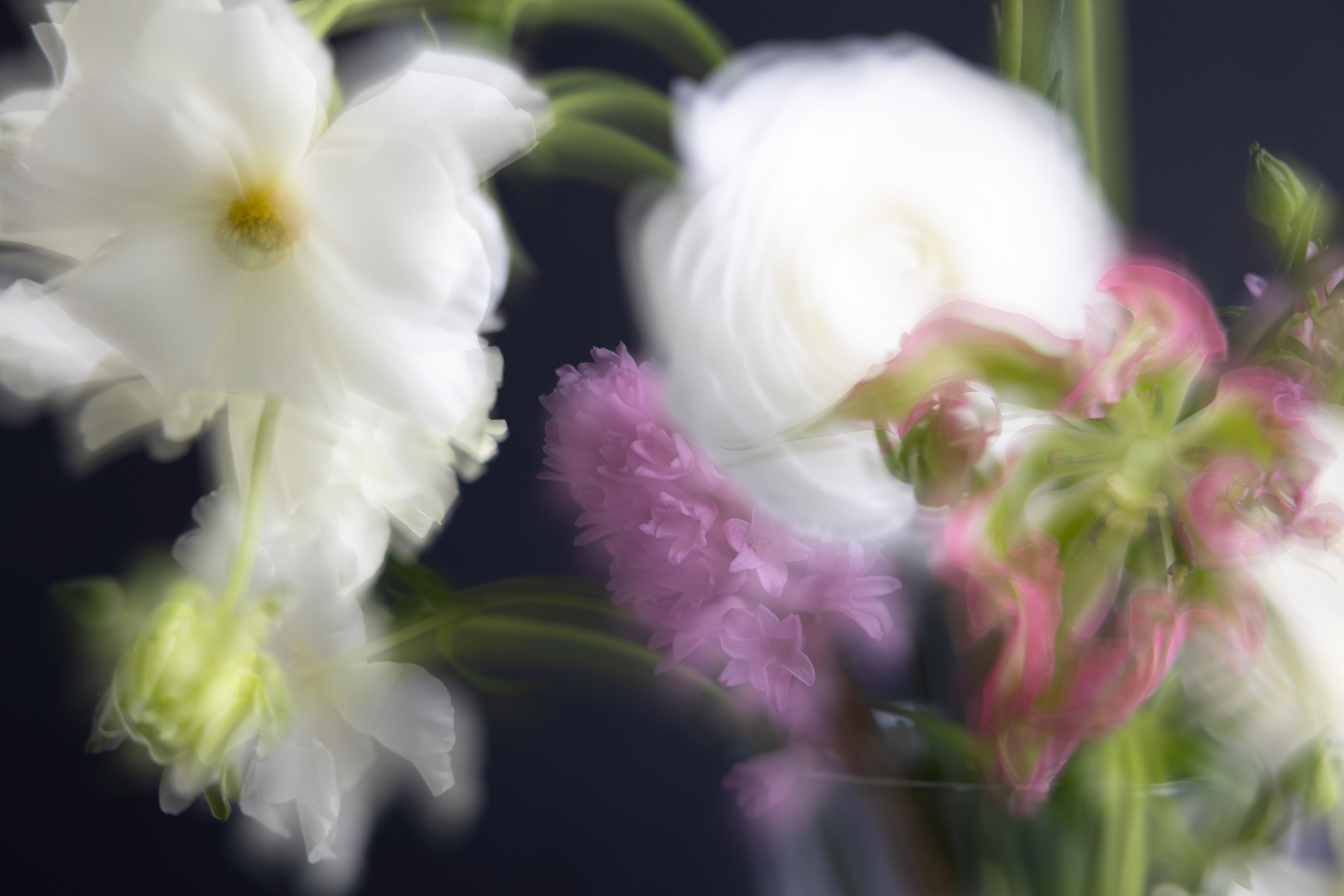 Art prints. Фотограф алина стерхова, алина стерхова фотограф, фотограф москва