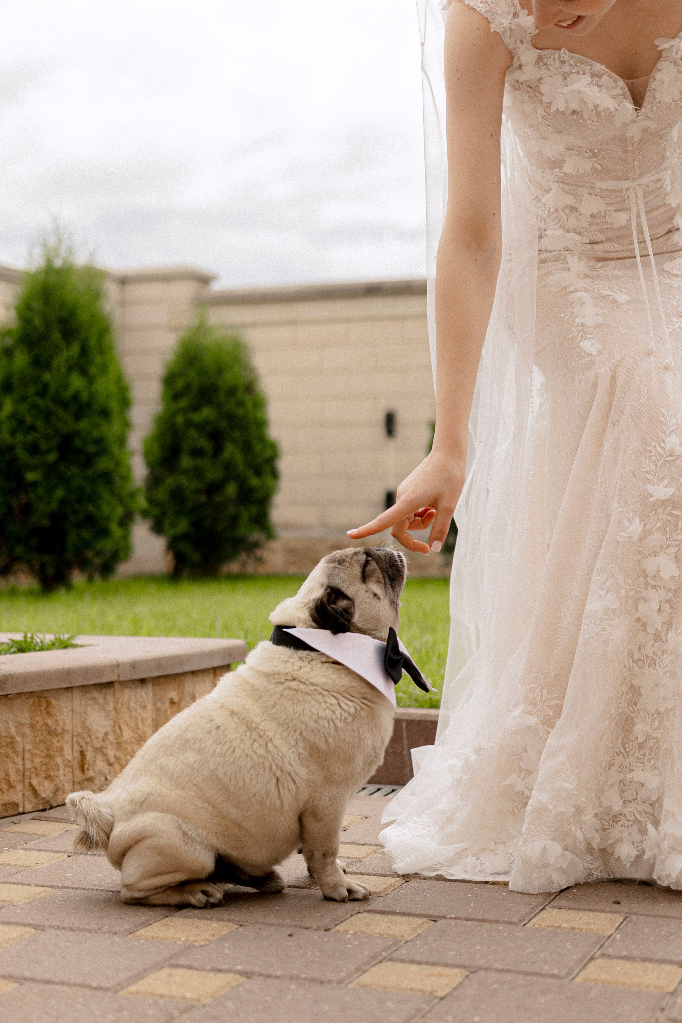 SERGEY & ANASTASIA | ESSENTUKI. Фотограф Настя Конник | Пятигорск | Эльбрус | Домбай | Архыз