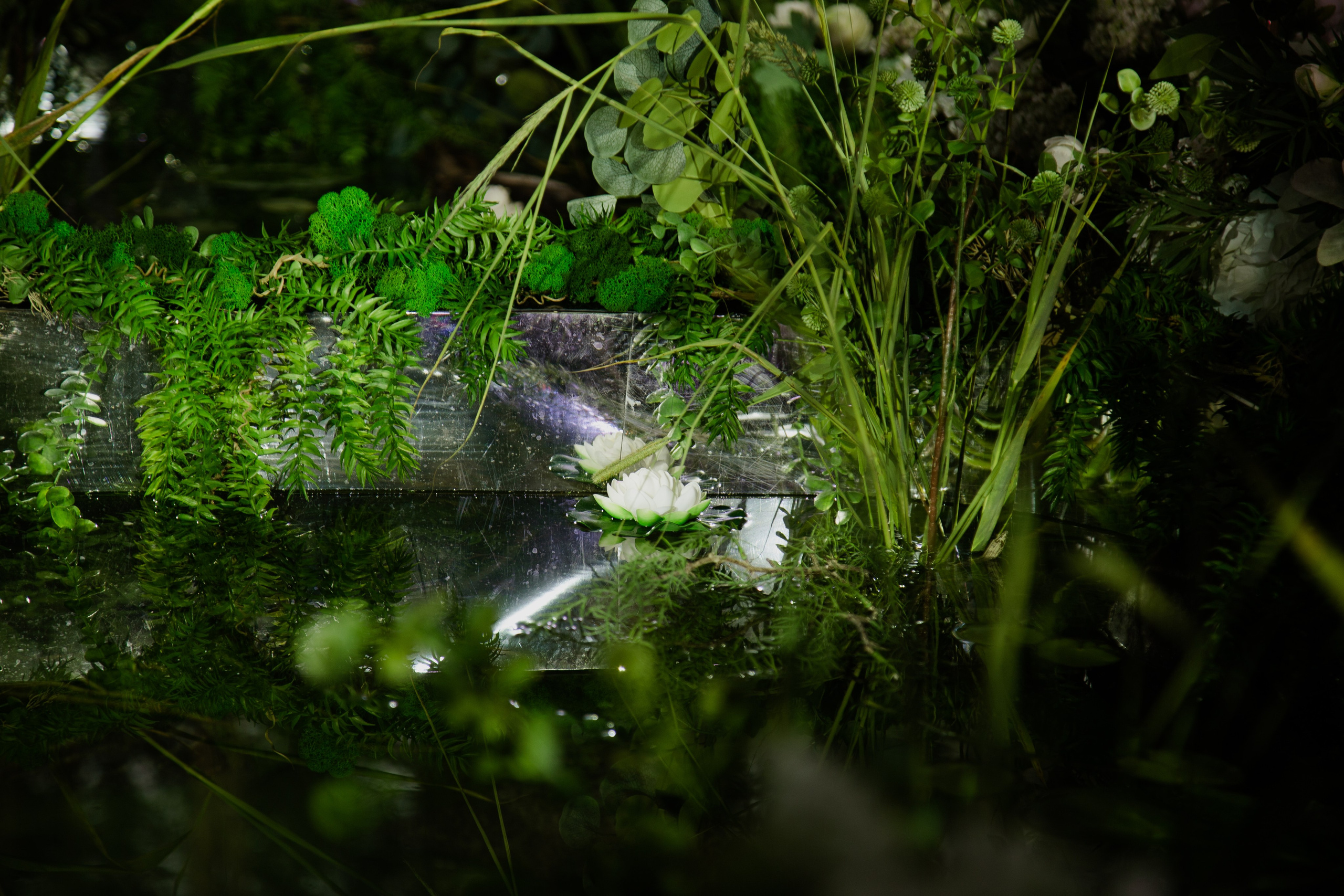 Павел | Елизавета. Свадебный и семейный фотограф Новосибирск