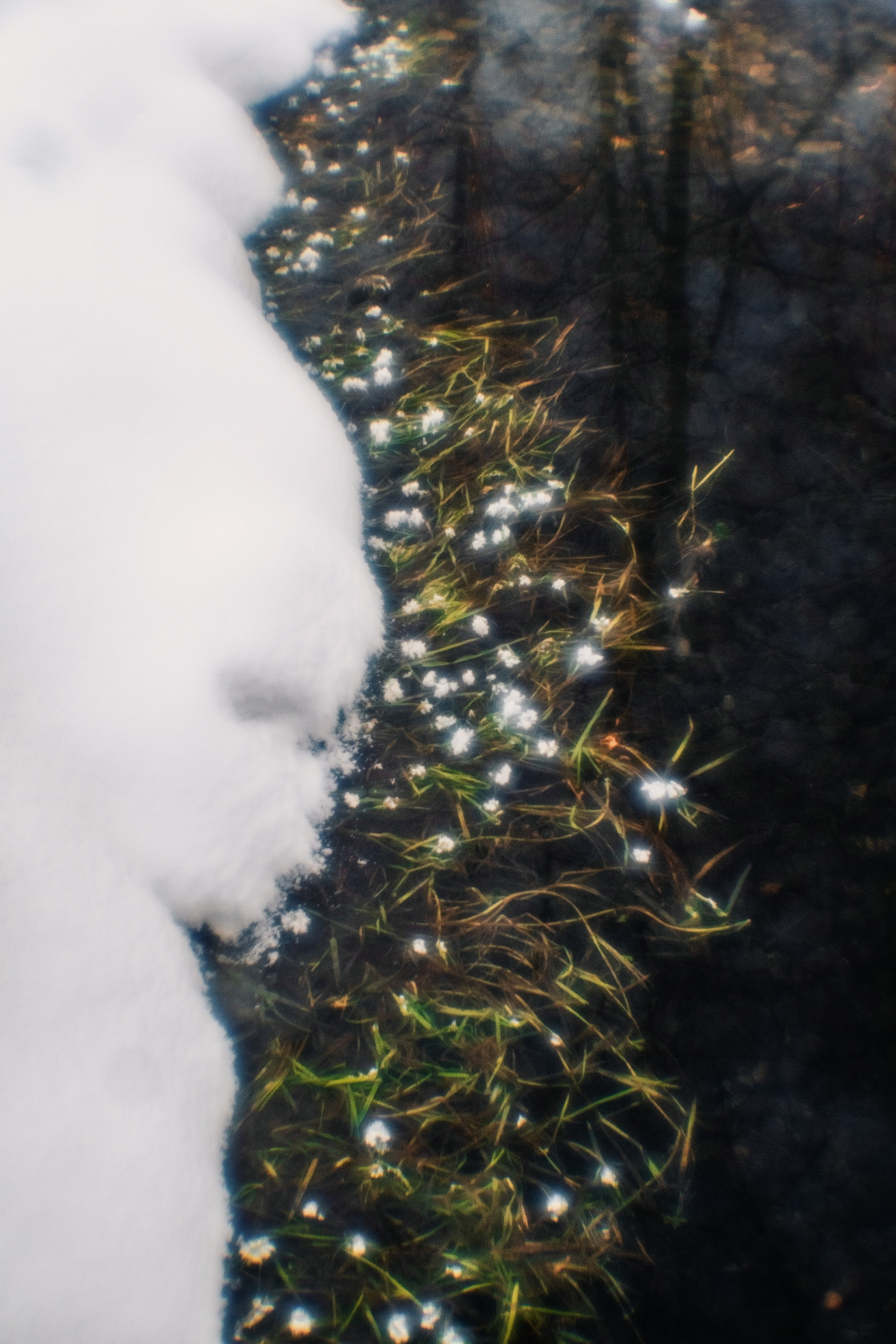 Поездки по России. Трандин Иван Фотограф СПб