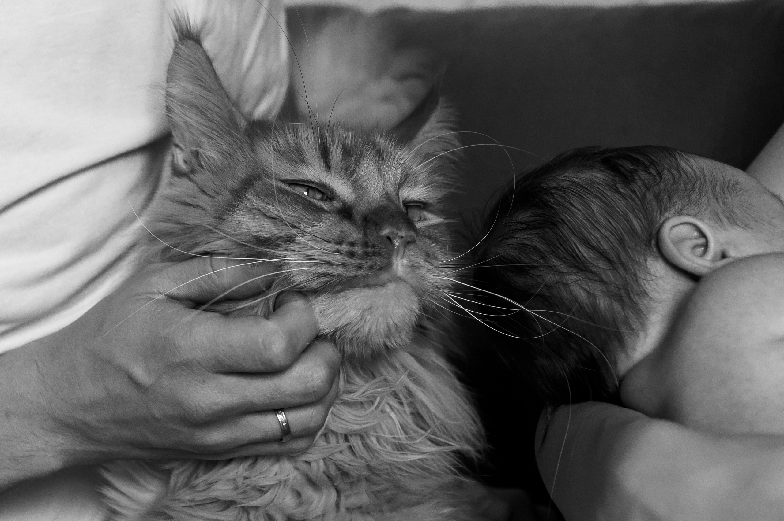 Домашняя съемка (сборка со съмок). Семейный, детский и фотограф ньюборн в Нижнем Новгороде